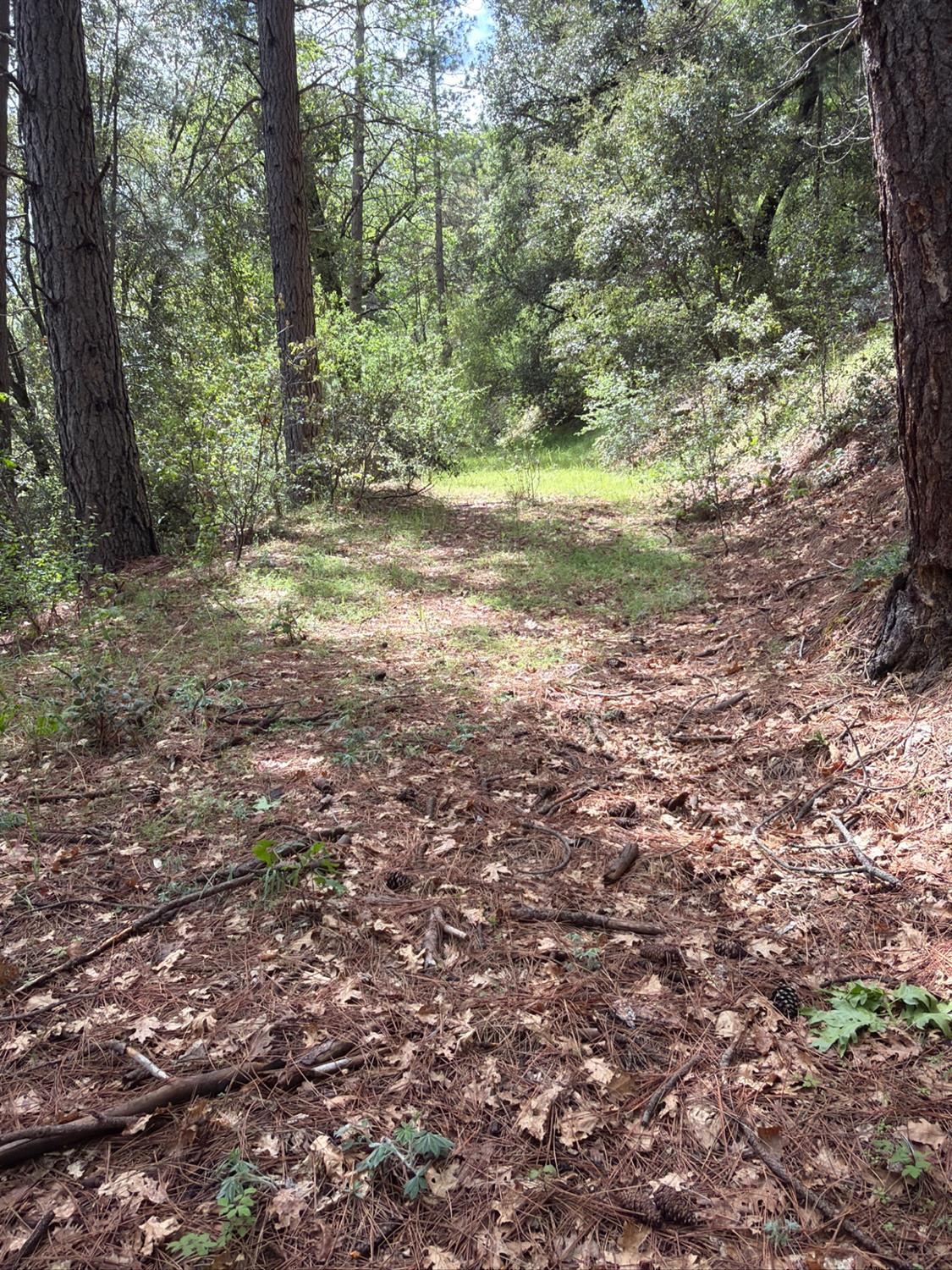 39 Anderson Valley Rd, Coulterville, CA 95311