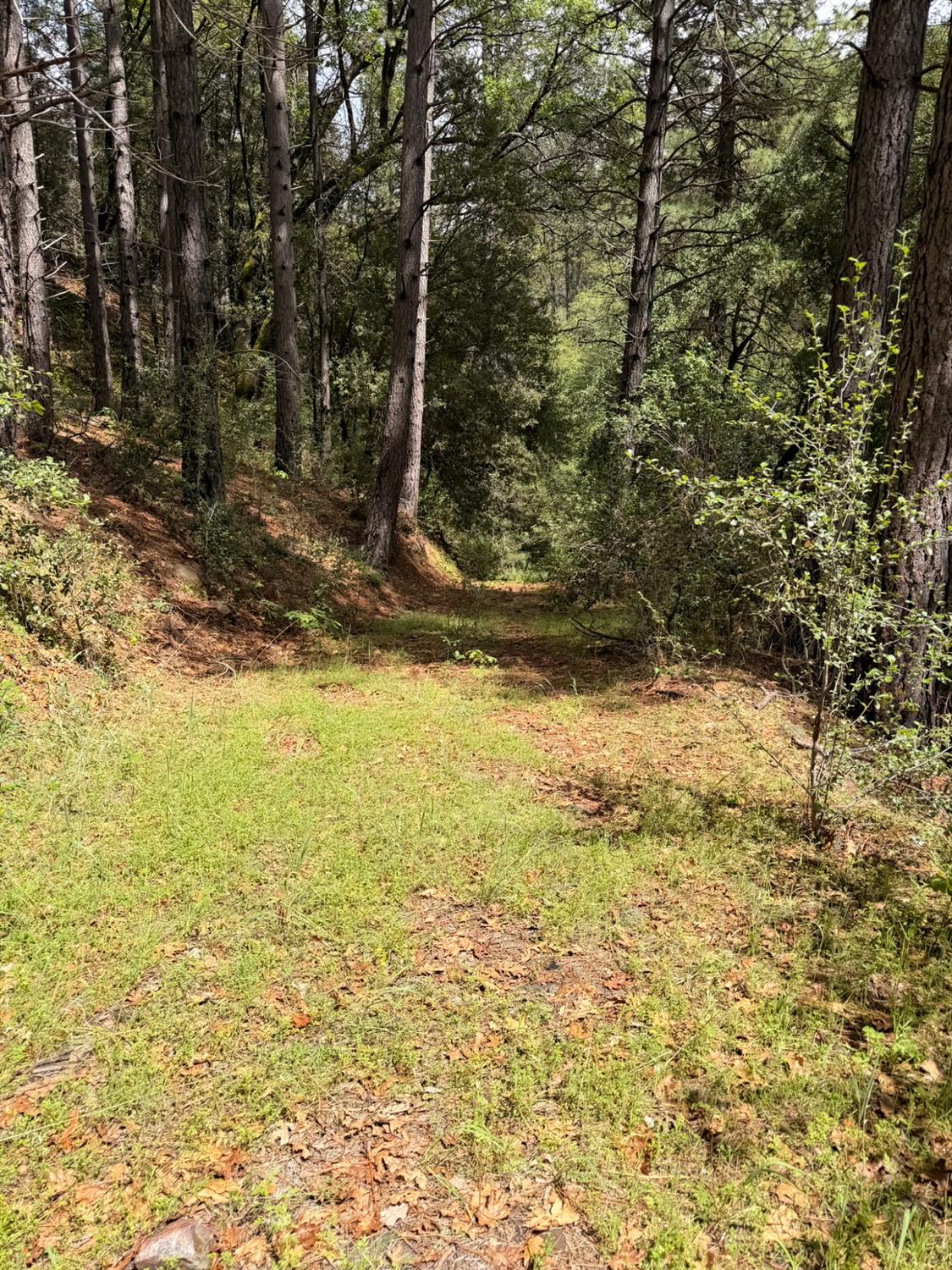 39 Anderson Valley Rd, Coulterville, CA 95311