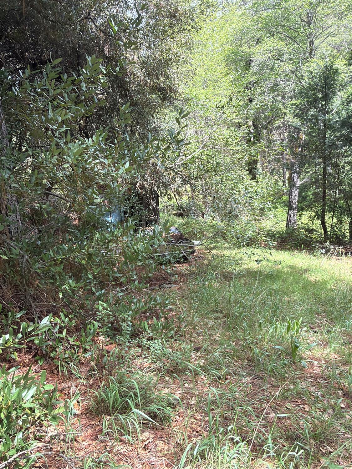 39 Anderson Valley Rd, Coulterville, CA 95311