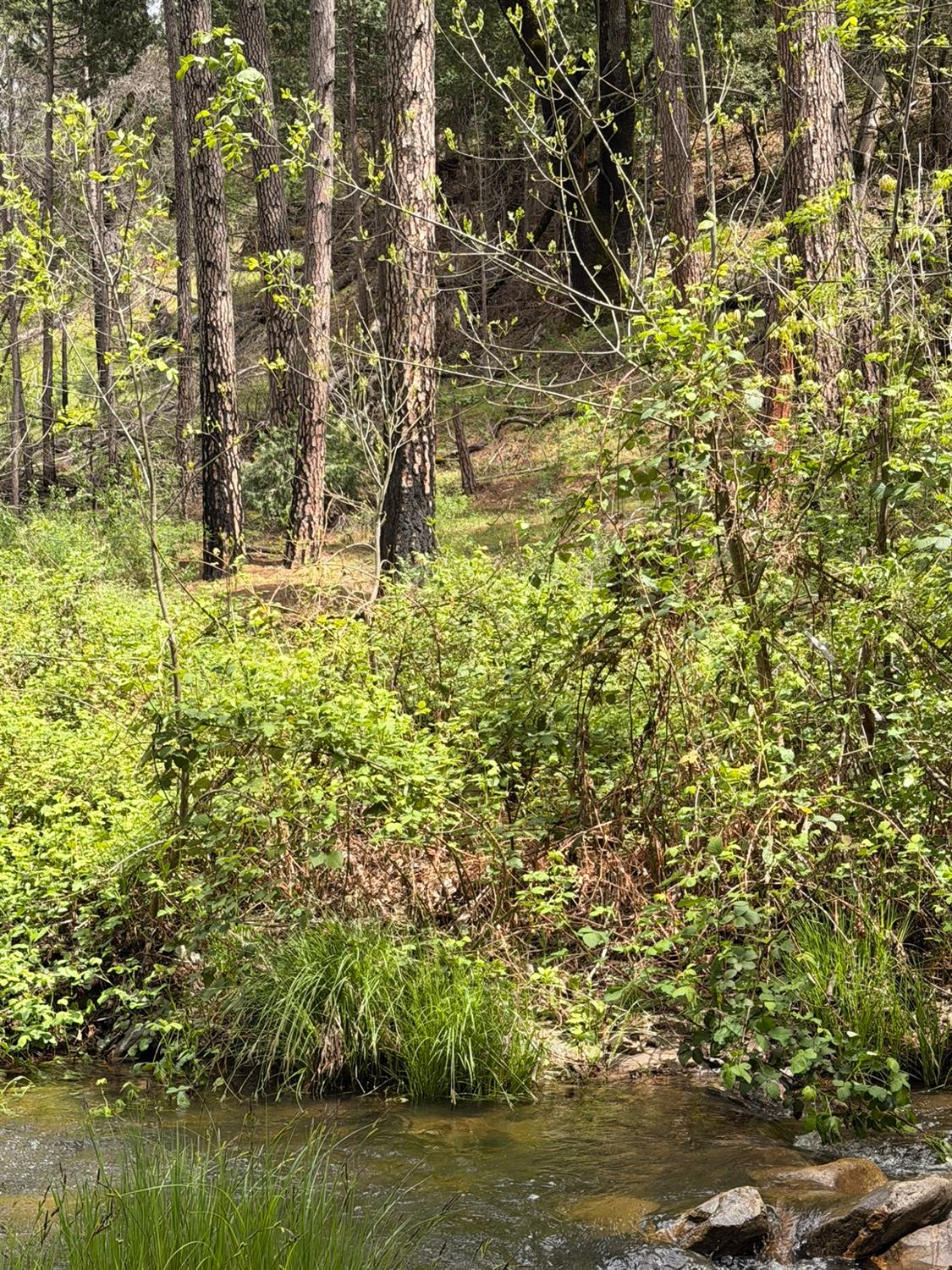 39 Anderson Valley Rd, Coulterville, CA 95311