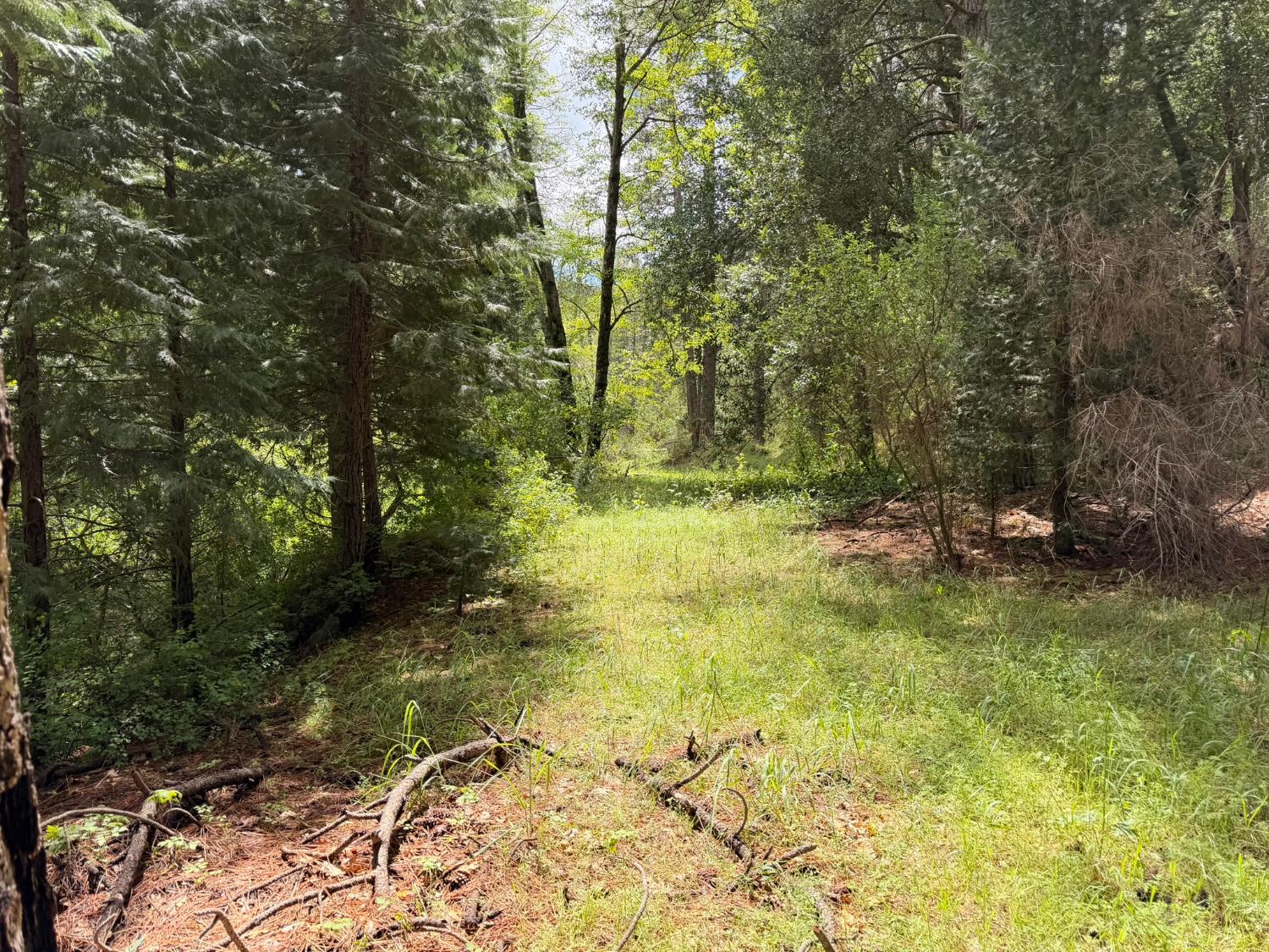 39 Anderson Valley Rd, Coulterville, CA 95311