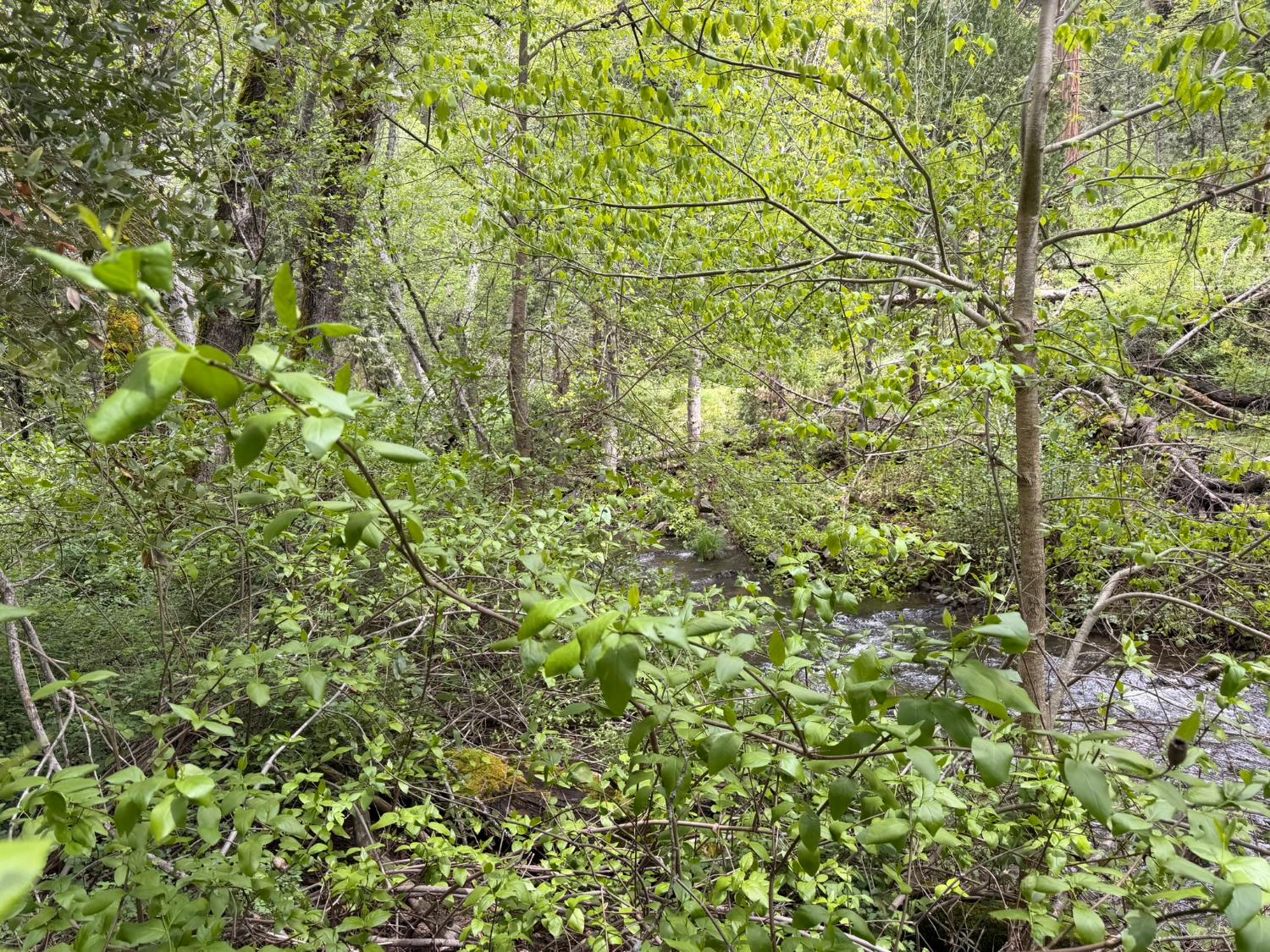 39 Anderson Valley Rd, Coulterville, CA 95311