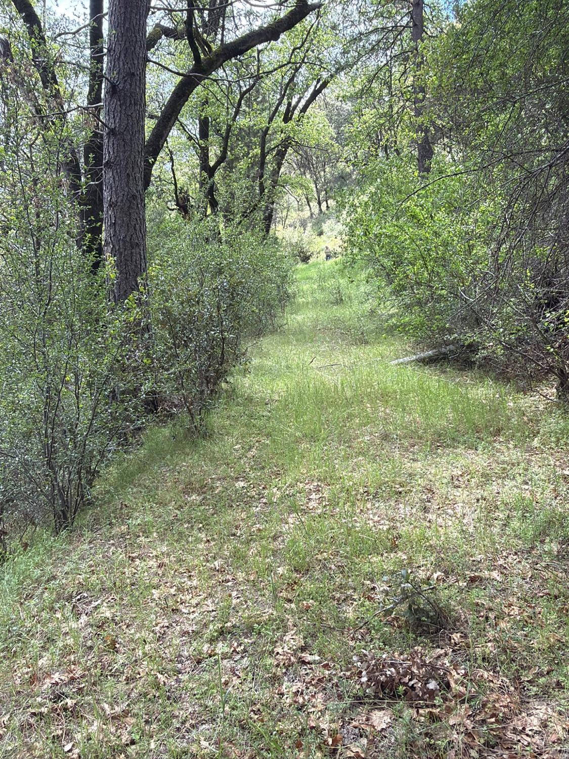 39 Anderson Valley Rd, Coulterville, CA 95311