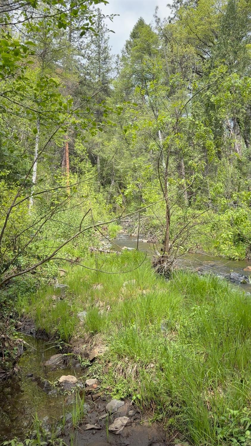 39 Anderson Valley Rd, Coulterville, CA 95311