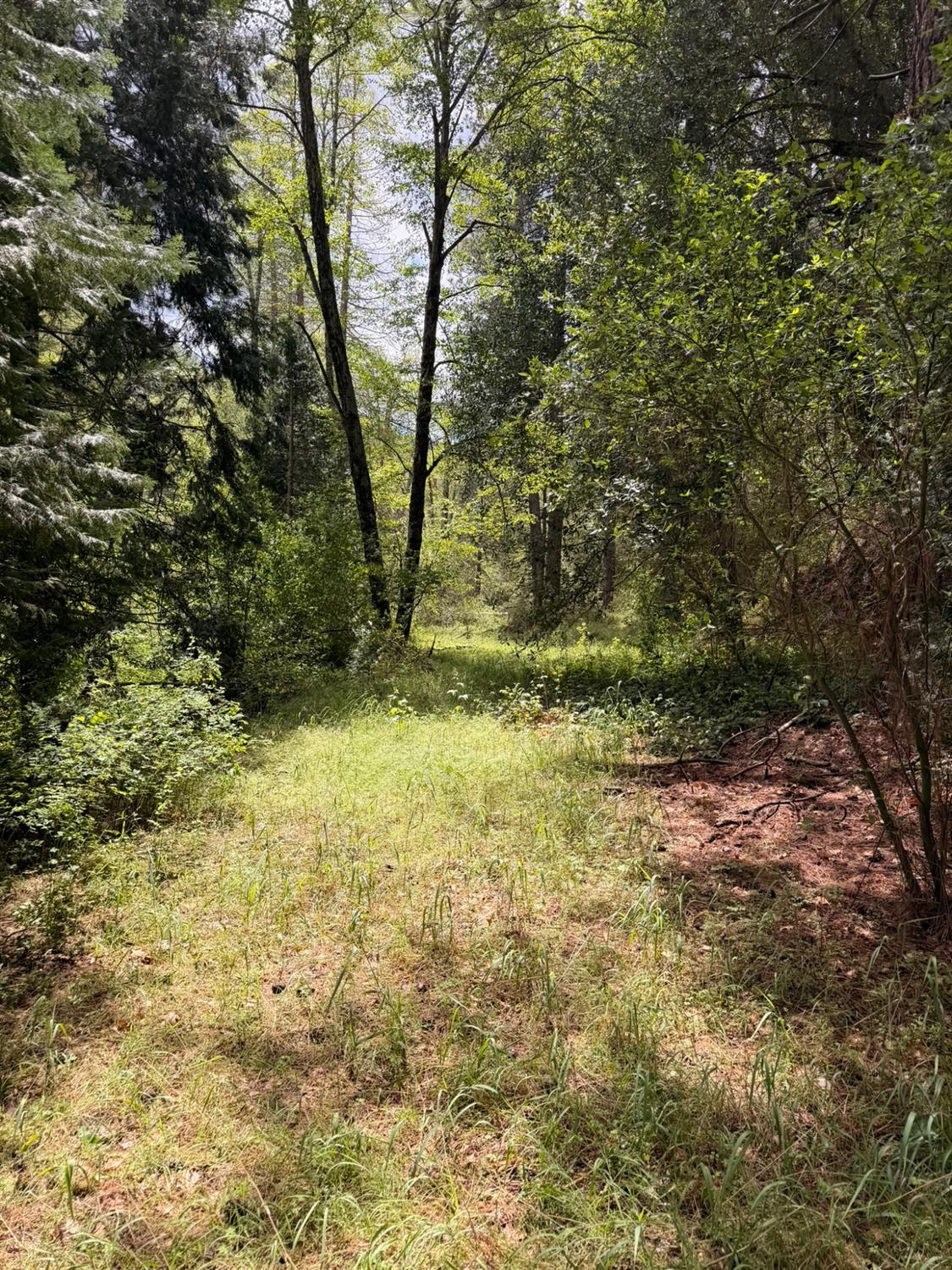 39 Anderson Valley Rd, Coulterville, CA 95311