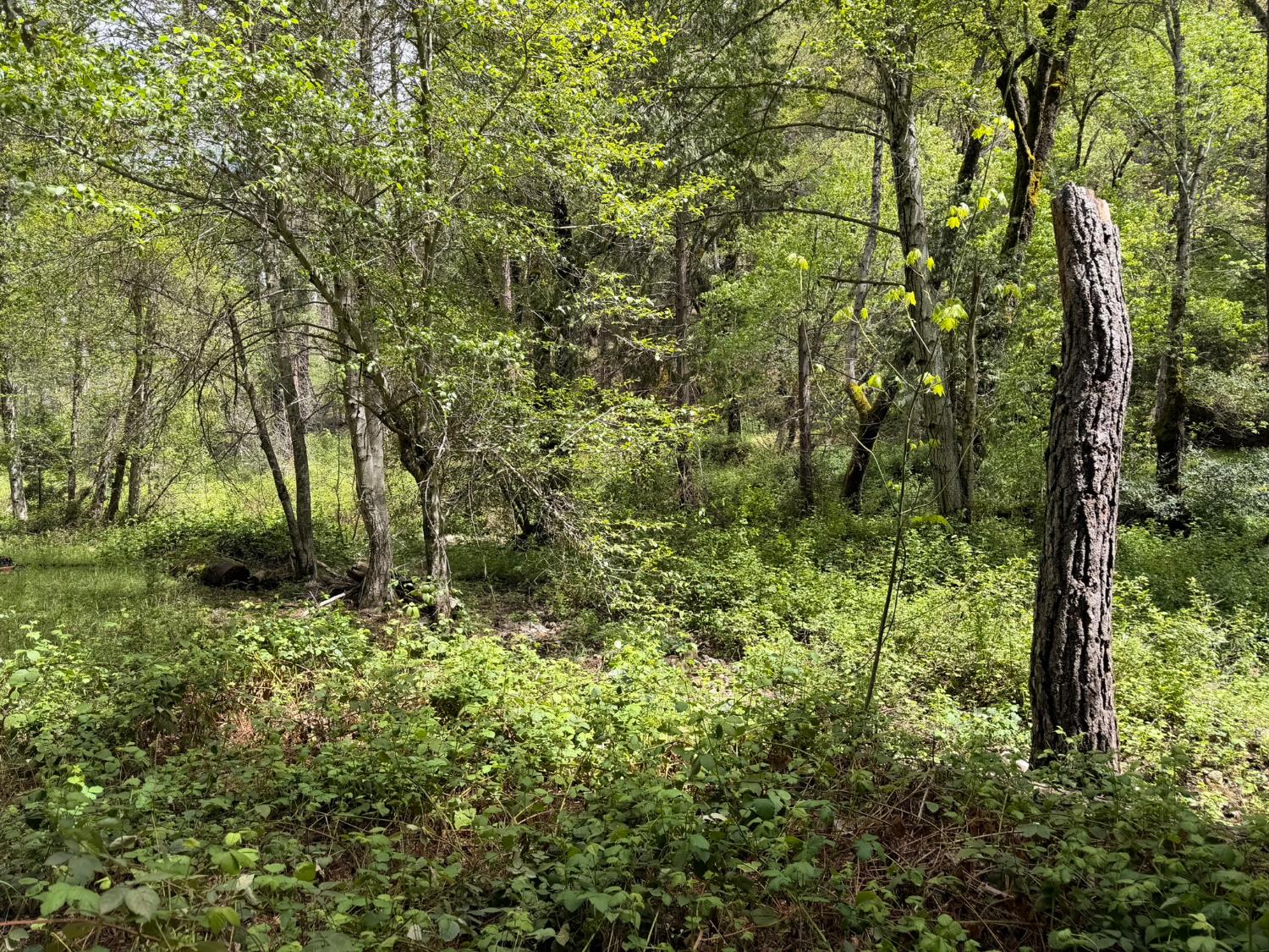 39 Anderson Valley Rd, Coulterville, CA 95311