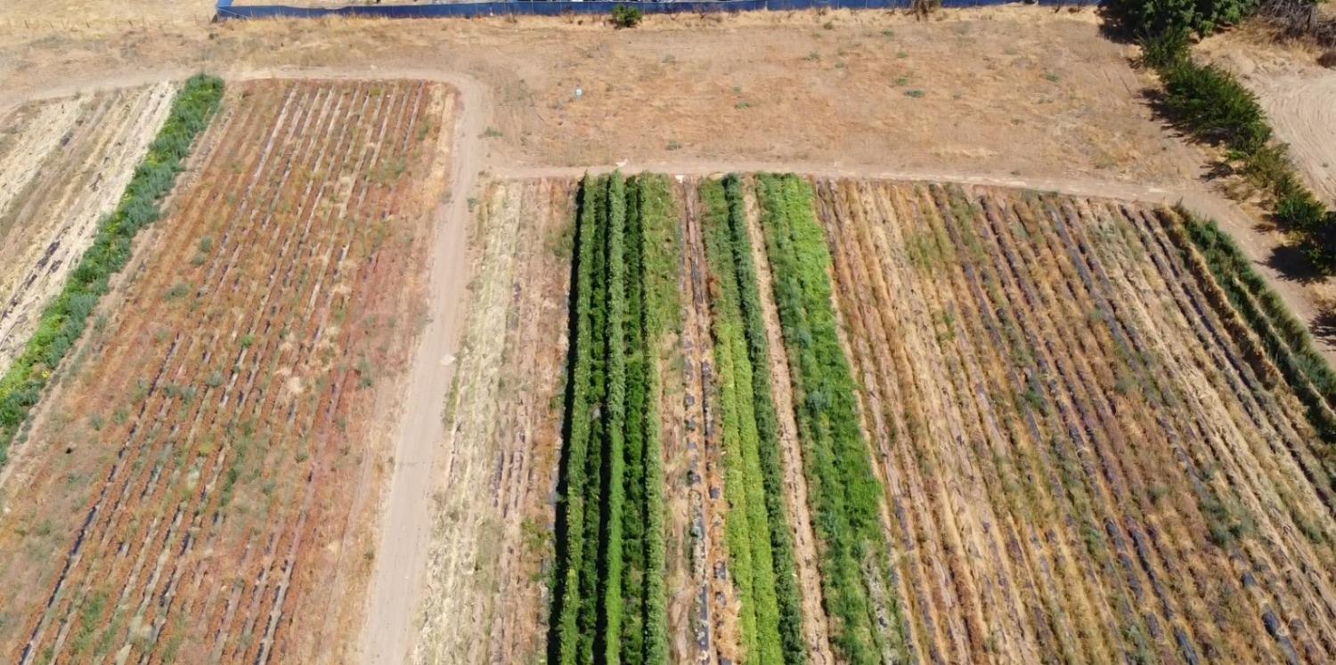 3228 W Clinton Ave, Fresno, CA 93722