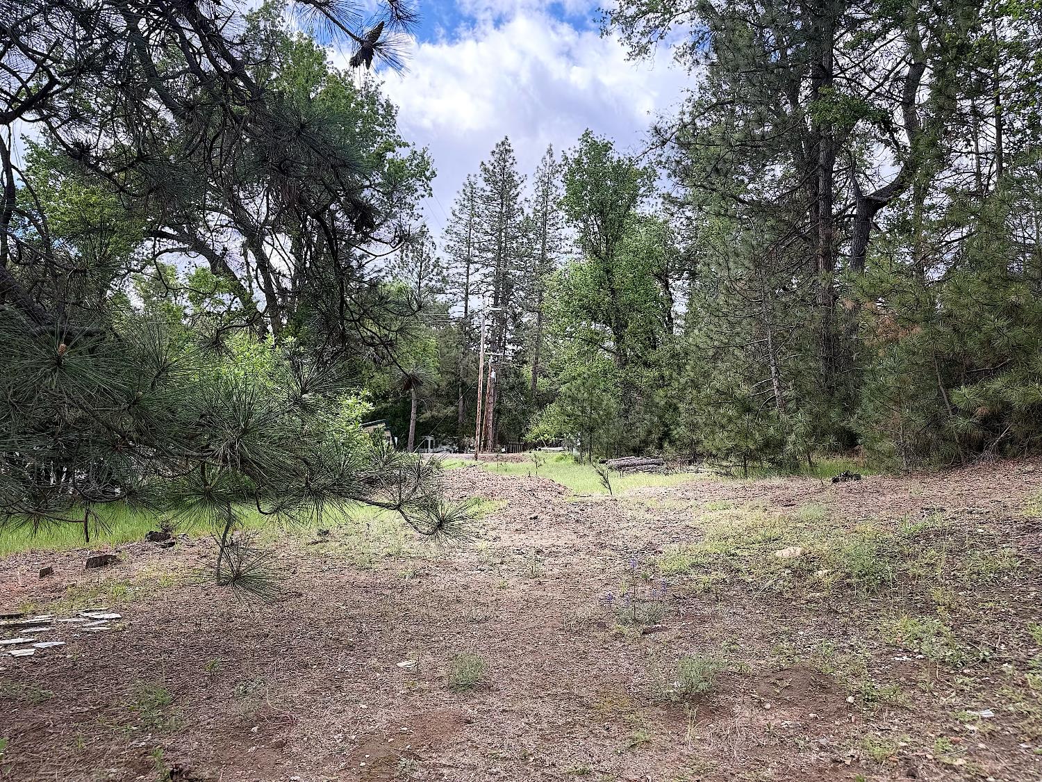 65 Harris Rd, Mariposa, CA 95338