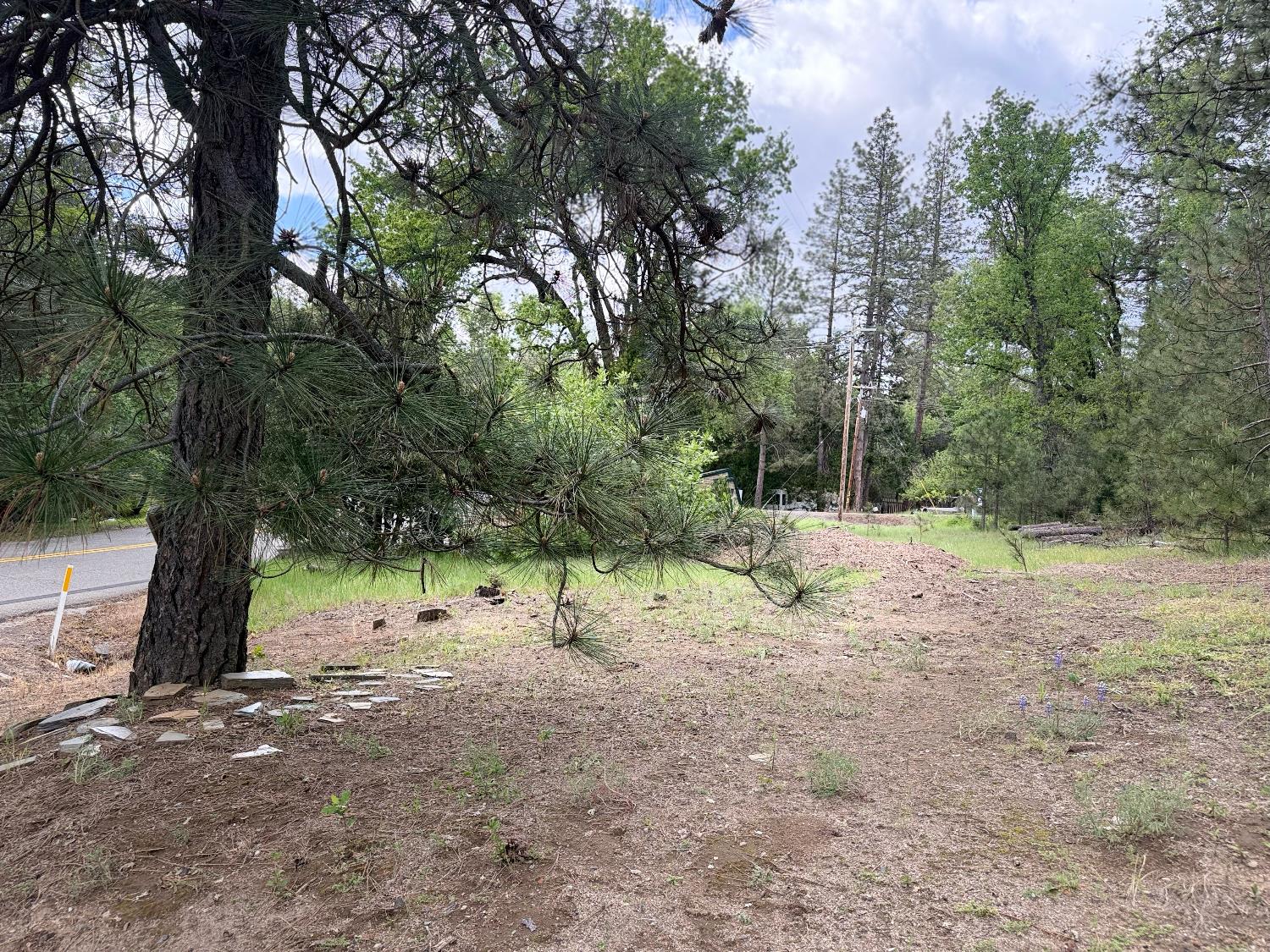 65 Harris Rd, Mariposa, CA 95338