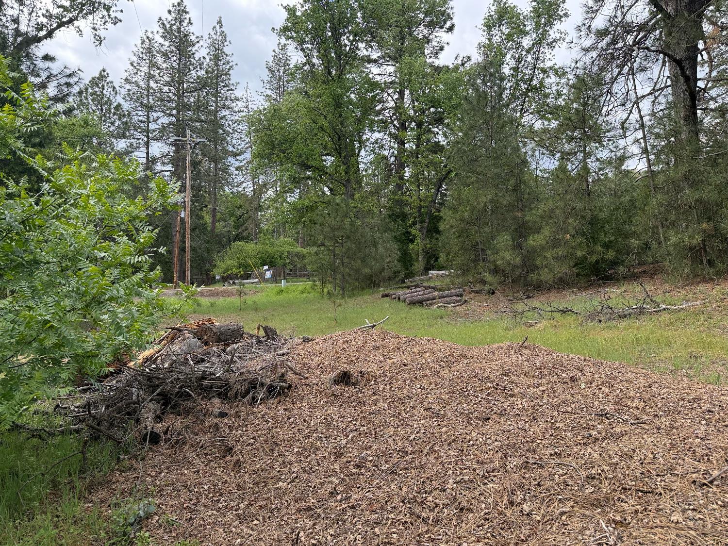 65 Harris Rd, Mariposa, CA 95338