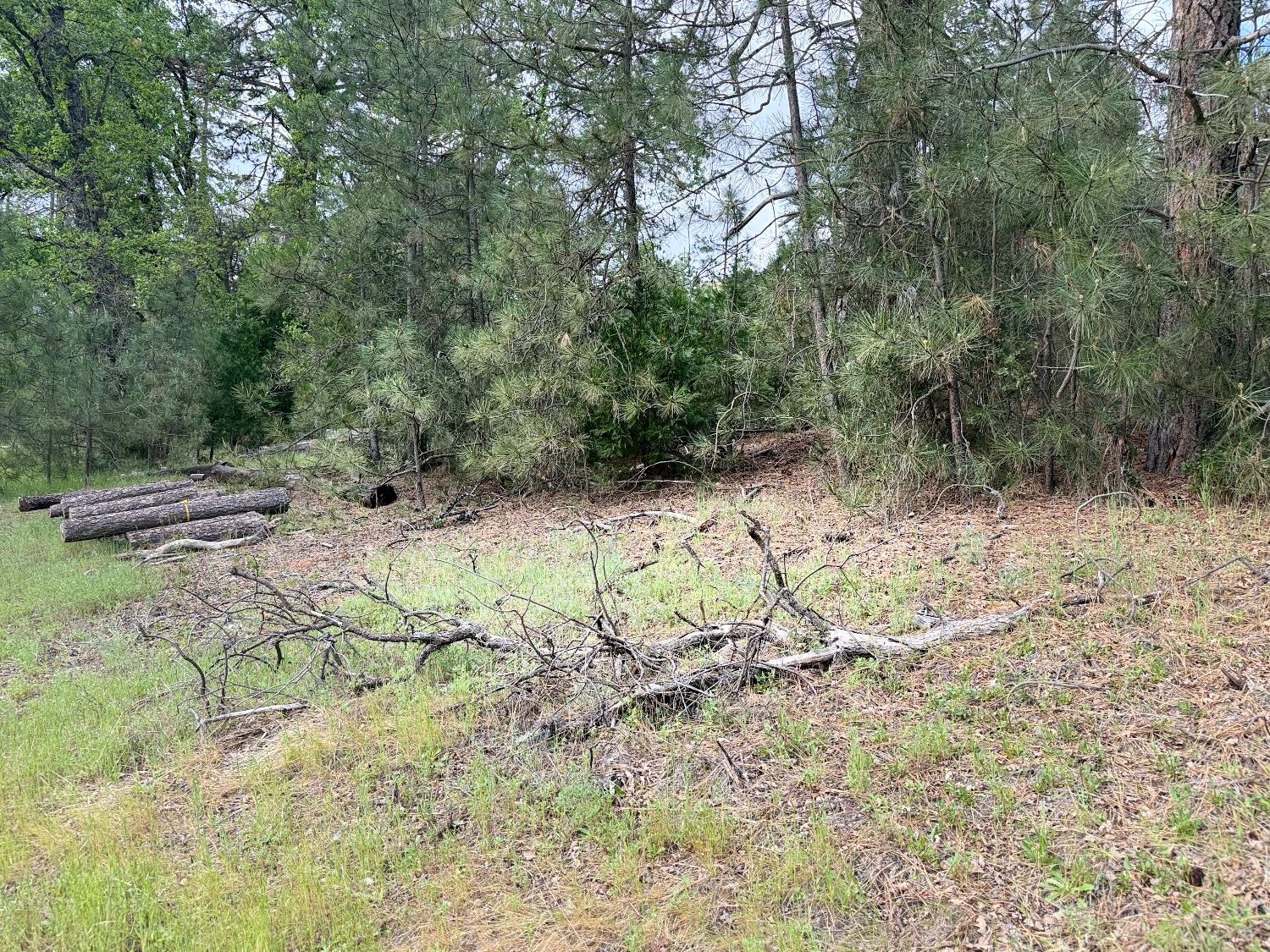 65 Harris Rd, Mariposa, CA 95338