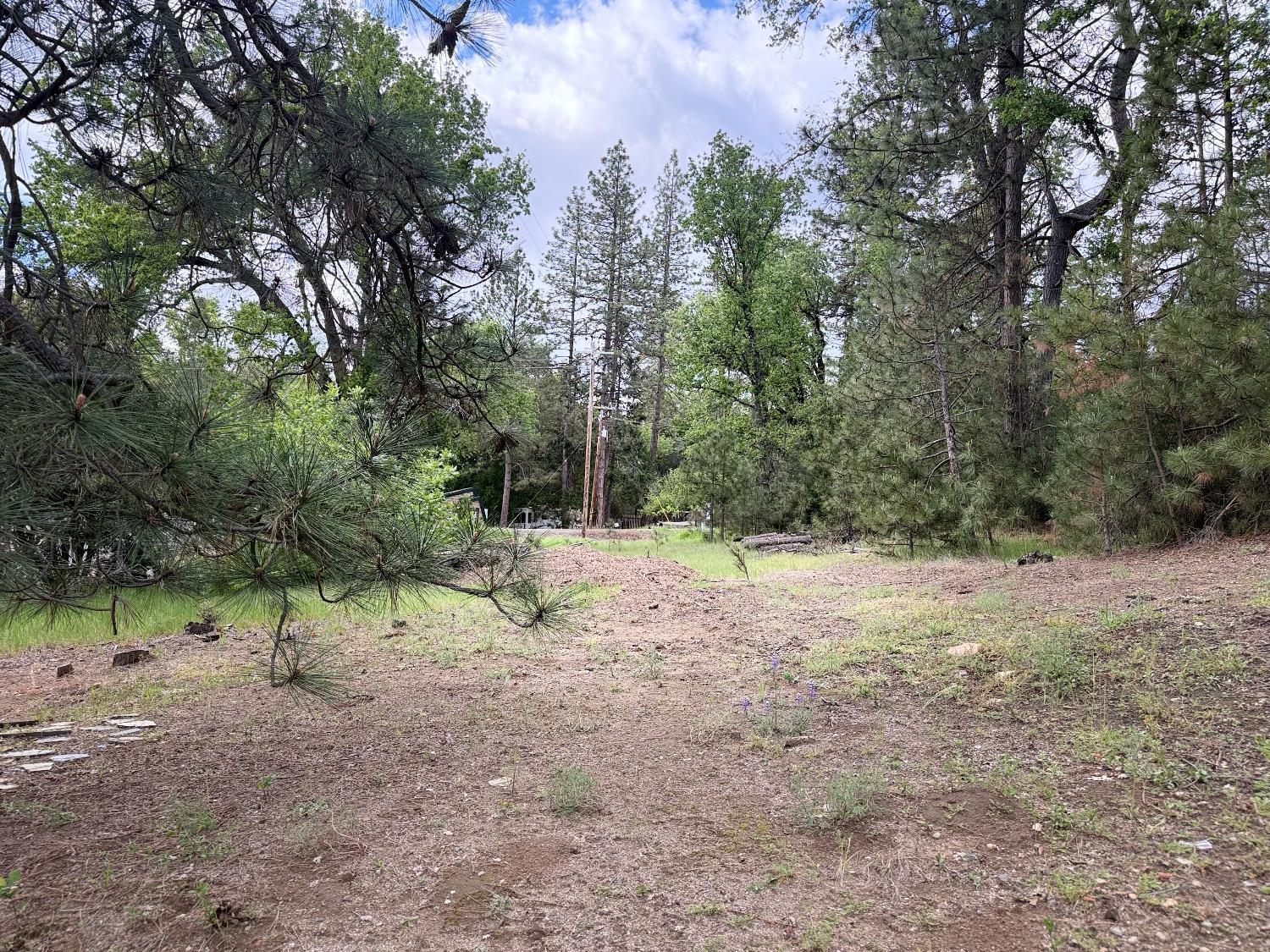 65 Harris Rd, Mariposa, CA 95338
