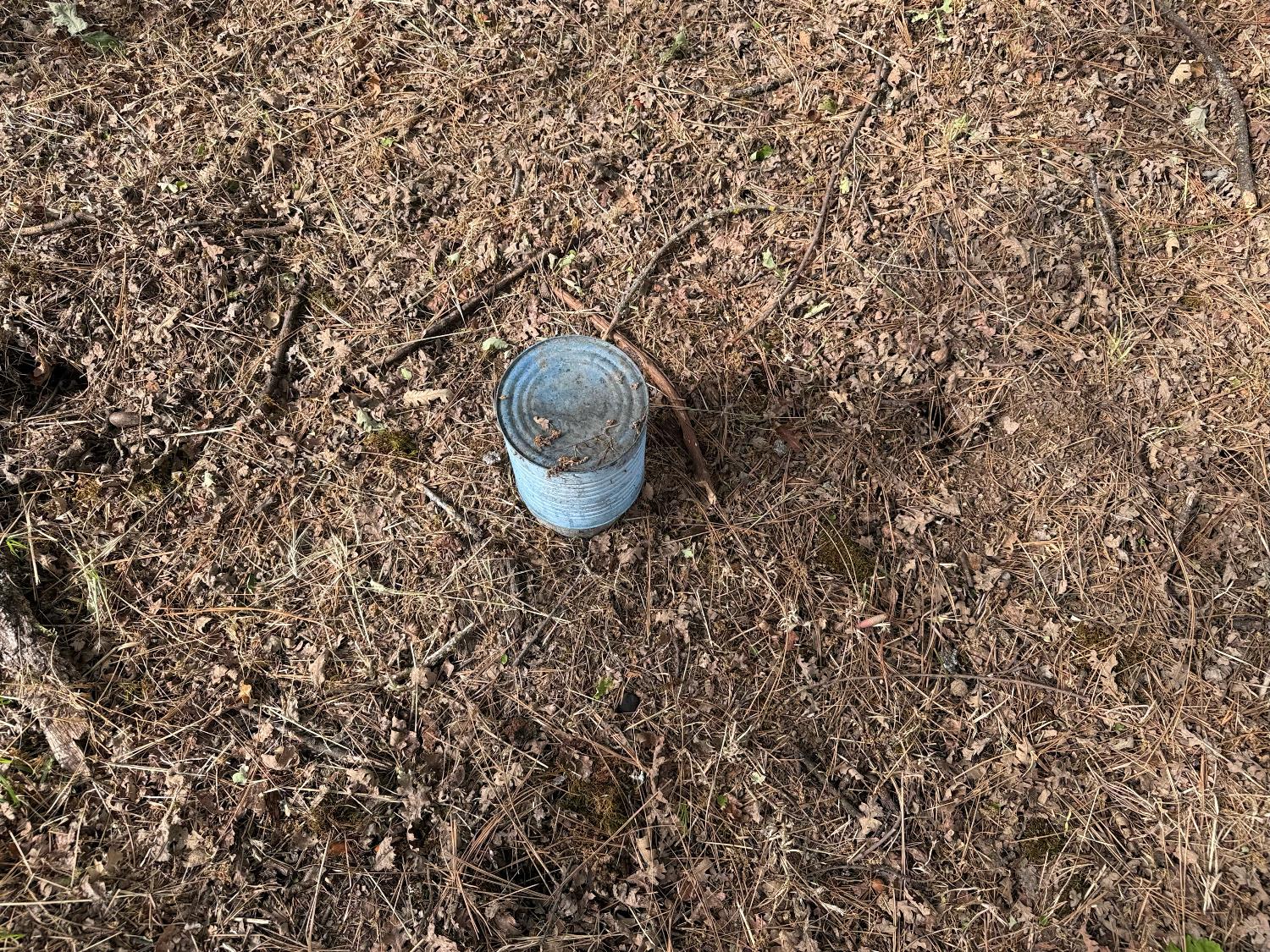 65 Harris Rd, Mariposa, CA 95338