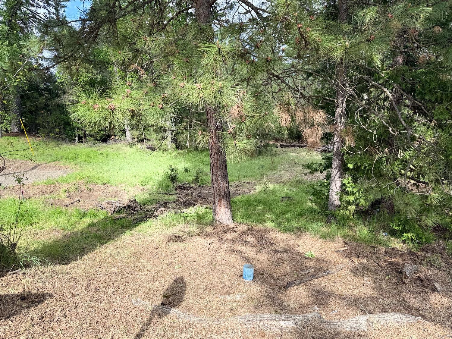 65 Harris Rd, Mariposa, CA 95338