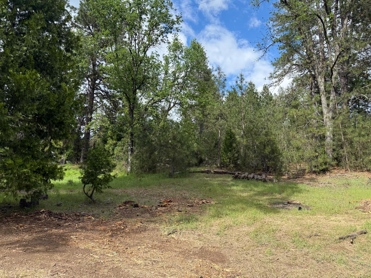 65 Harris Rd, Mariposa, CA 95338