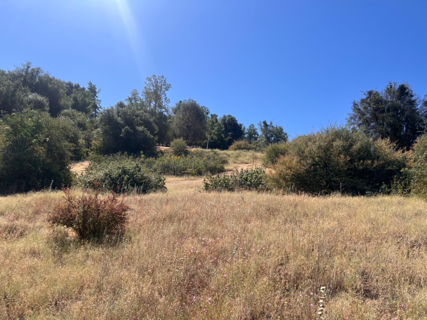 16 Lulniu Ln, Ahwahnee, CA 93601