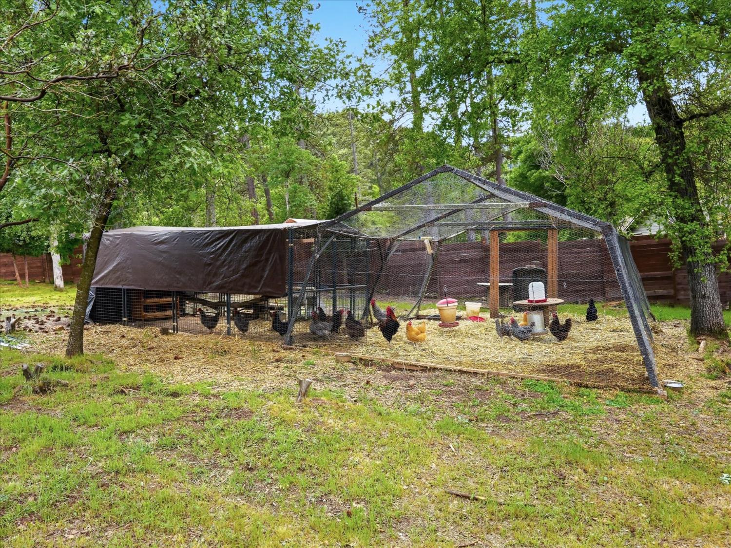 45893 & 45899 Sutton Dr, Oakhurst, CA 93644