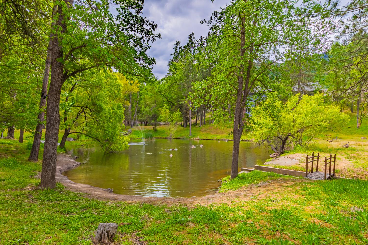 48441 9130 Woodbend Ct, Oakhurst, CA 93644