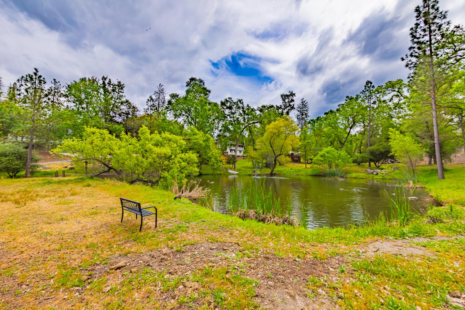 48441 9130 Woodbend Ct, Oakhurst, CA 93644