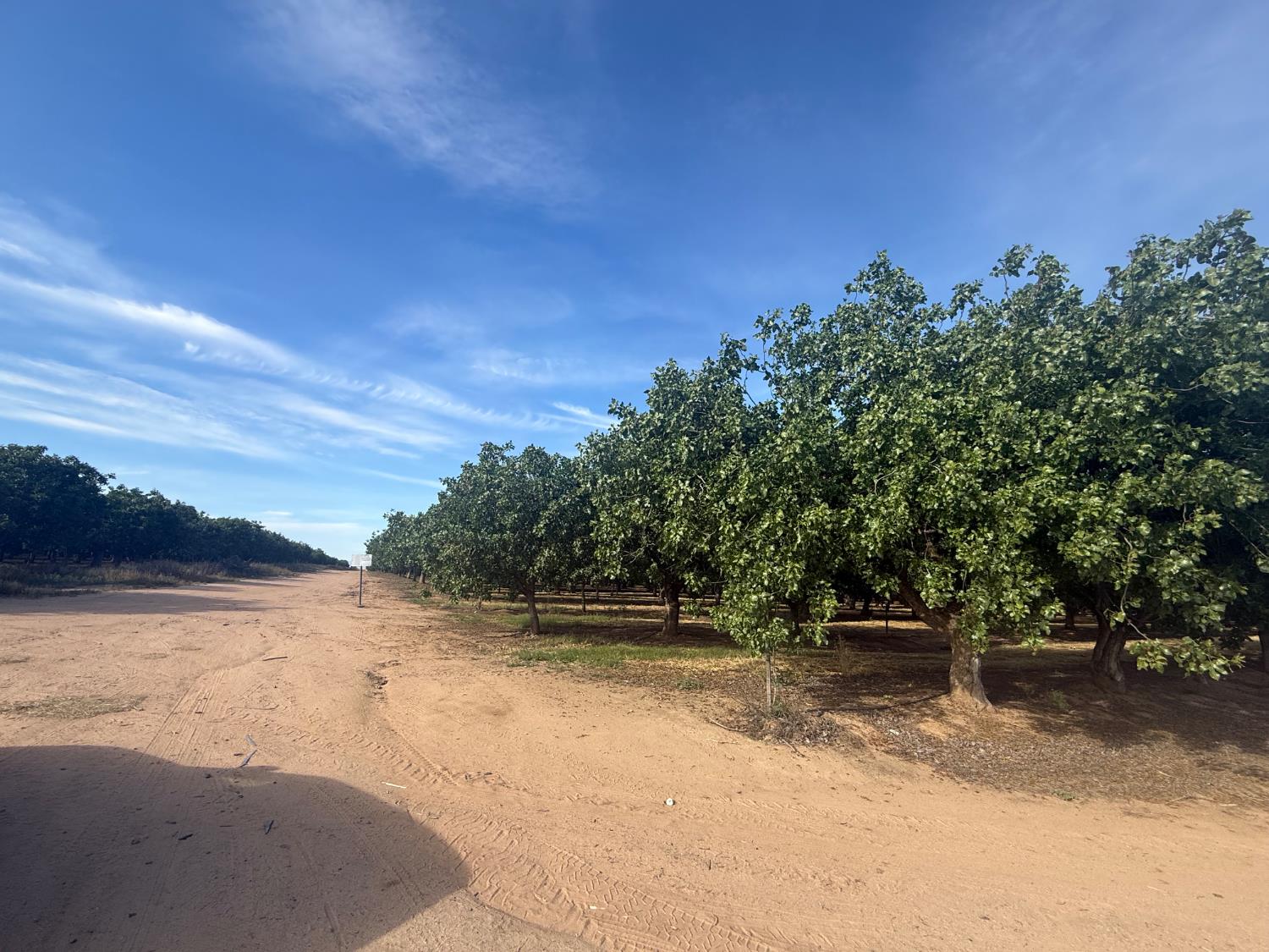 0 0 Avenue 21, Madera, CA 93638