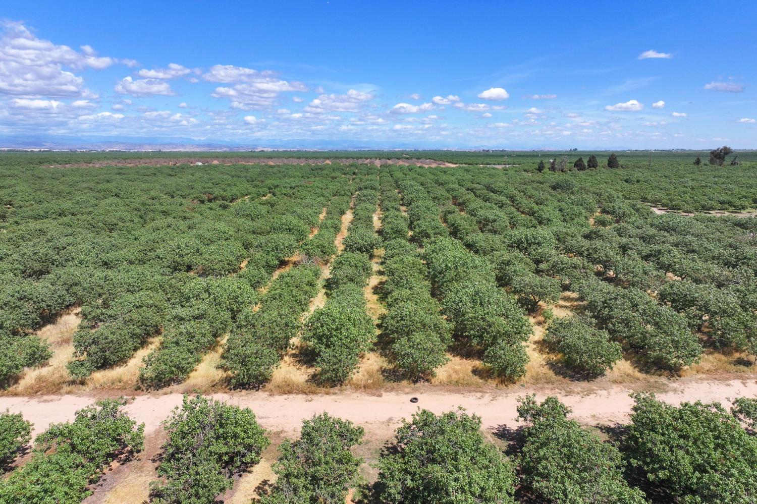 0 0 E. of Road 26, Madera, CA 93638