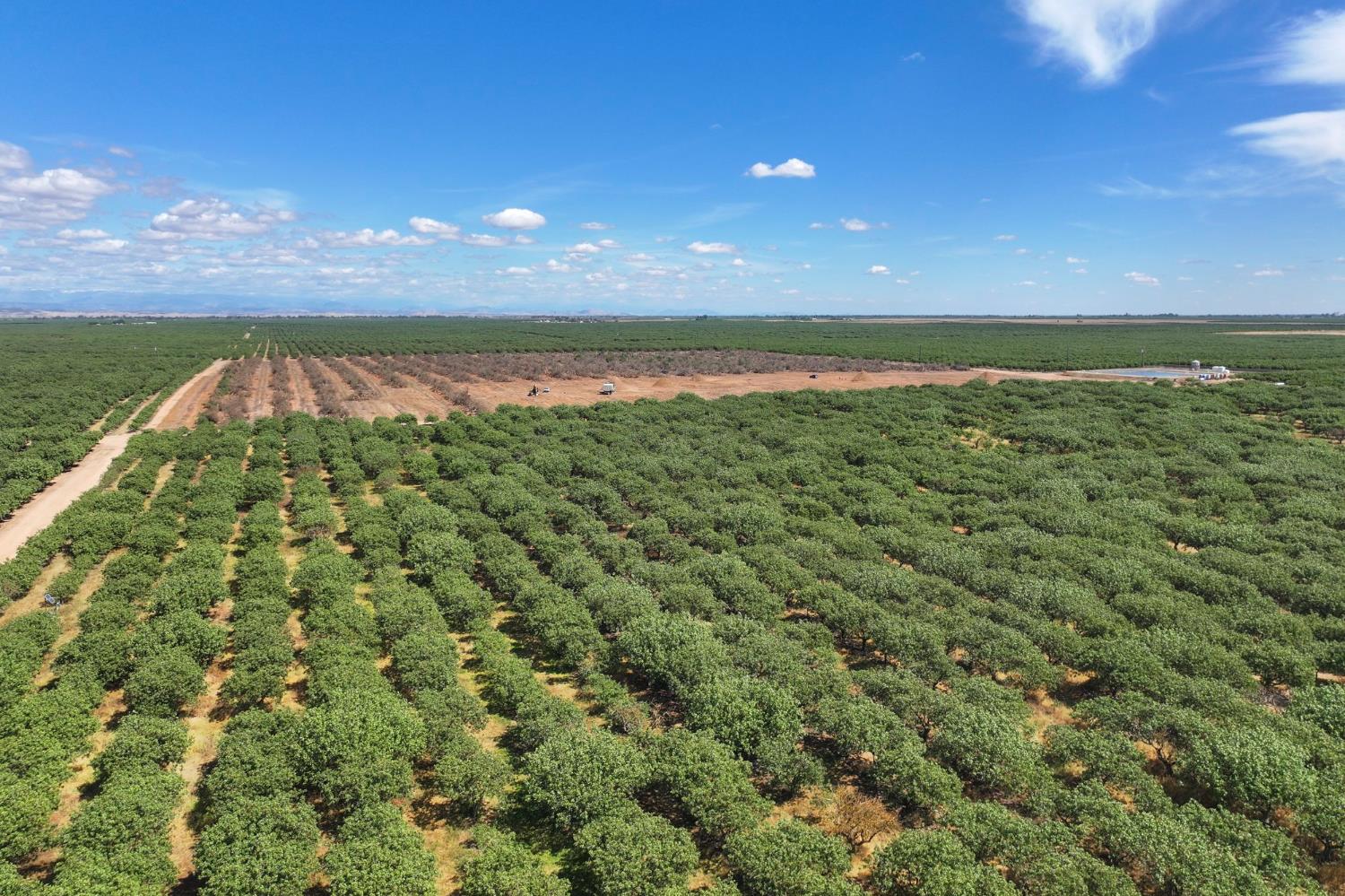 0 0 E. of Road 26, Madera, CA 93638