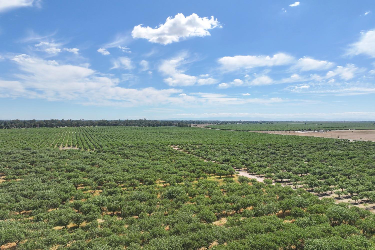 0 0 E. of Road 26, Madera, CA 93638