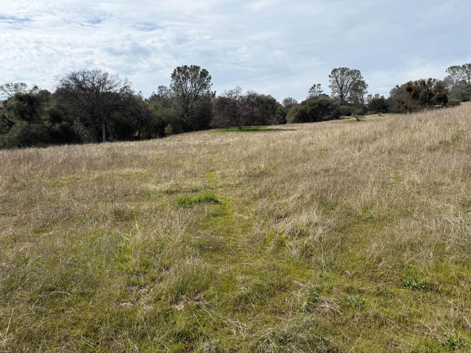 31 Rd 416, Coarsegold, CA 93614