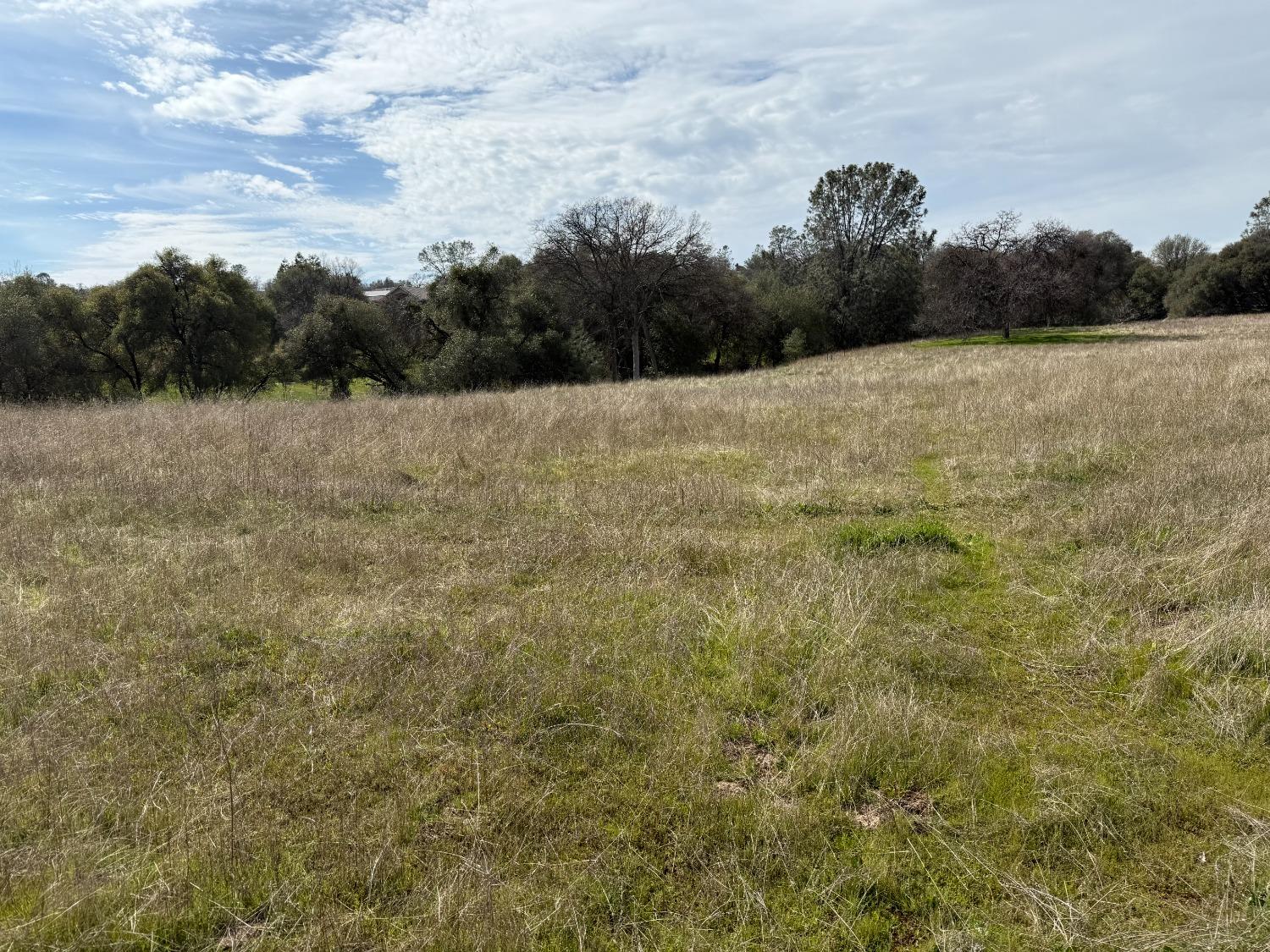 31 Rd 416, Coarsegold, CA 93614