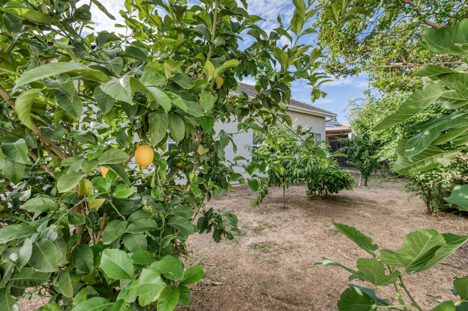 10374 N Sierra Vista Ave, Fresno, CA 93730