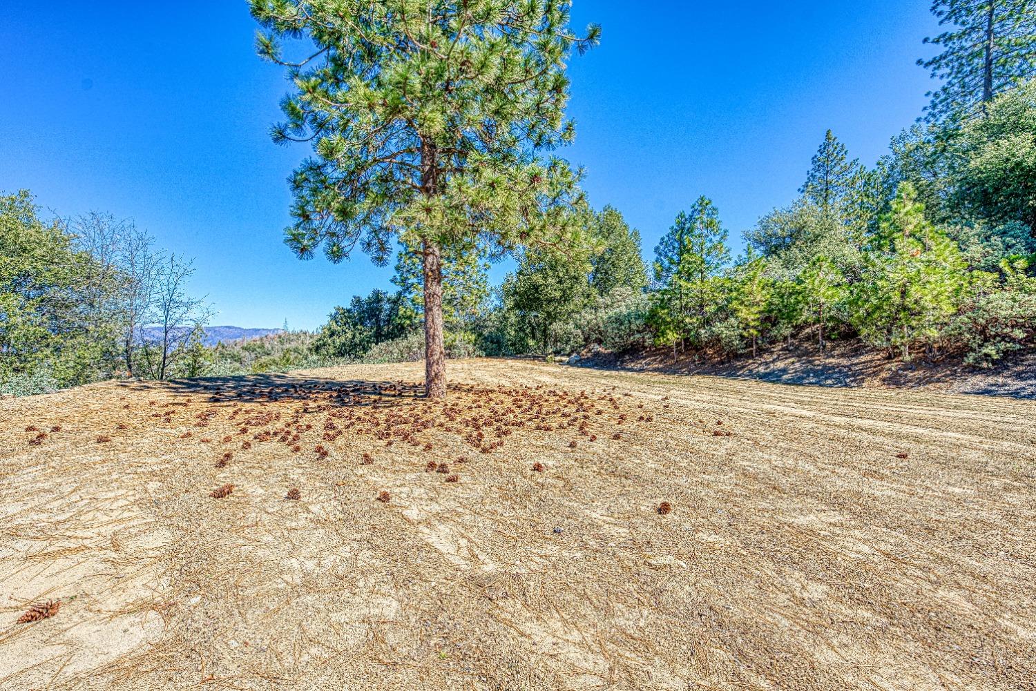 41000 Auberry Rd, Auberry, CA 93602
