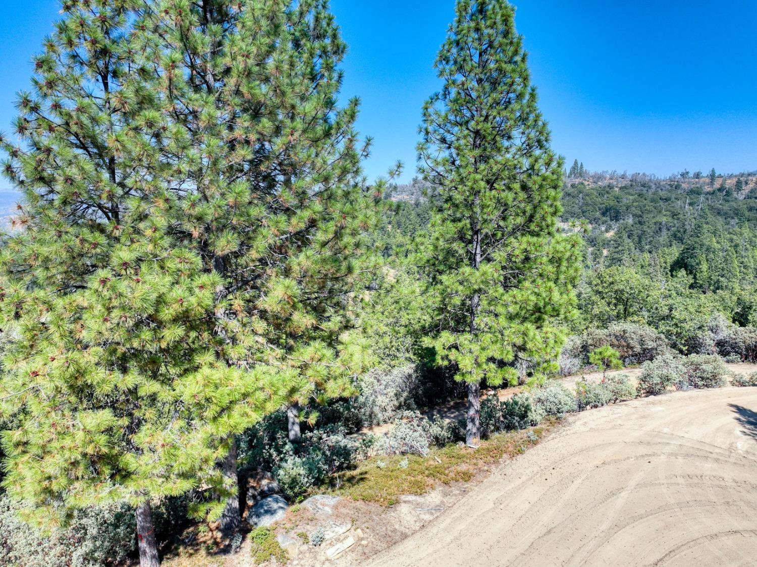 41500 Auberry Rd, Auberry, CA 93602