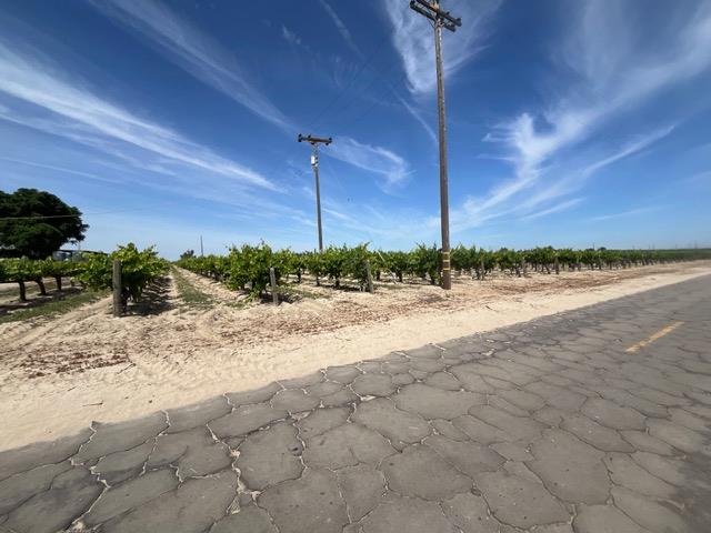 6195 W Springfield N, Raisin City, CA 93706