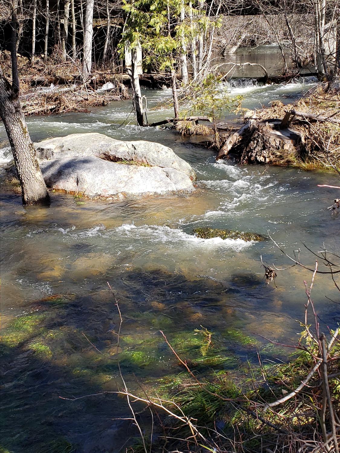 1 Road 225, North Fork, CA 93643