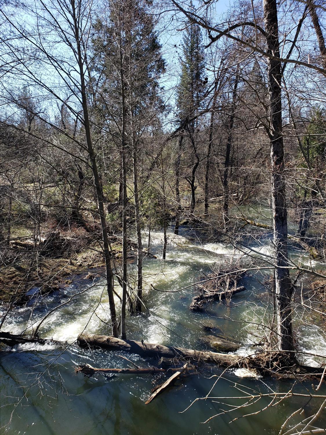 1 Road 225, North Fork, CA 93643