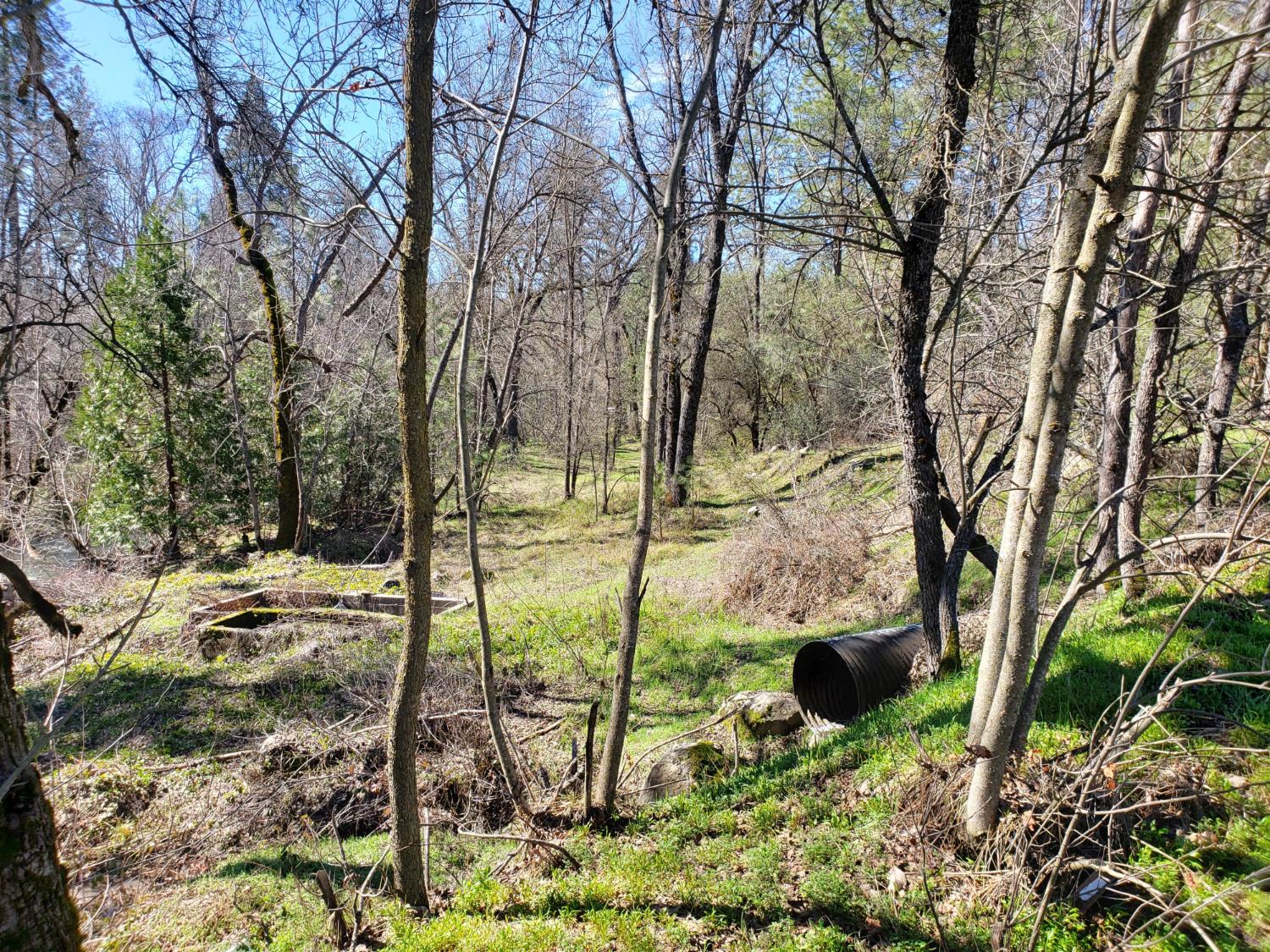 1 Road 225, North Fork, CA 93643