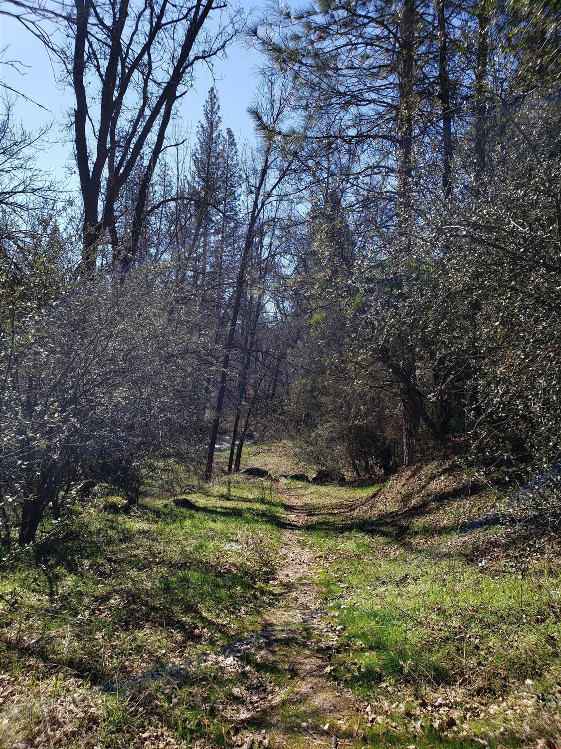 1 Road 225, North Fork, CA 93643