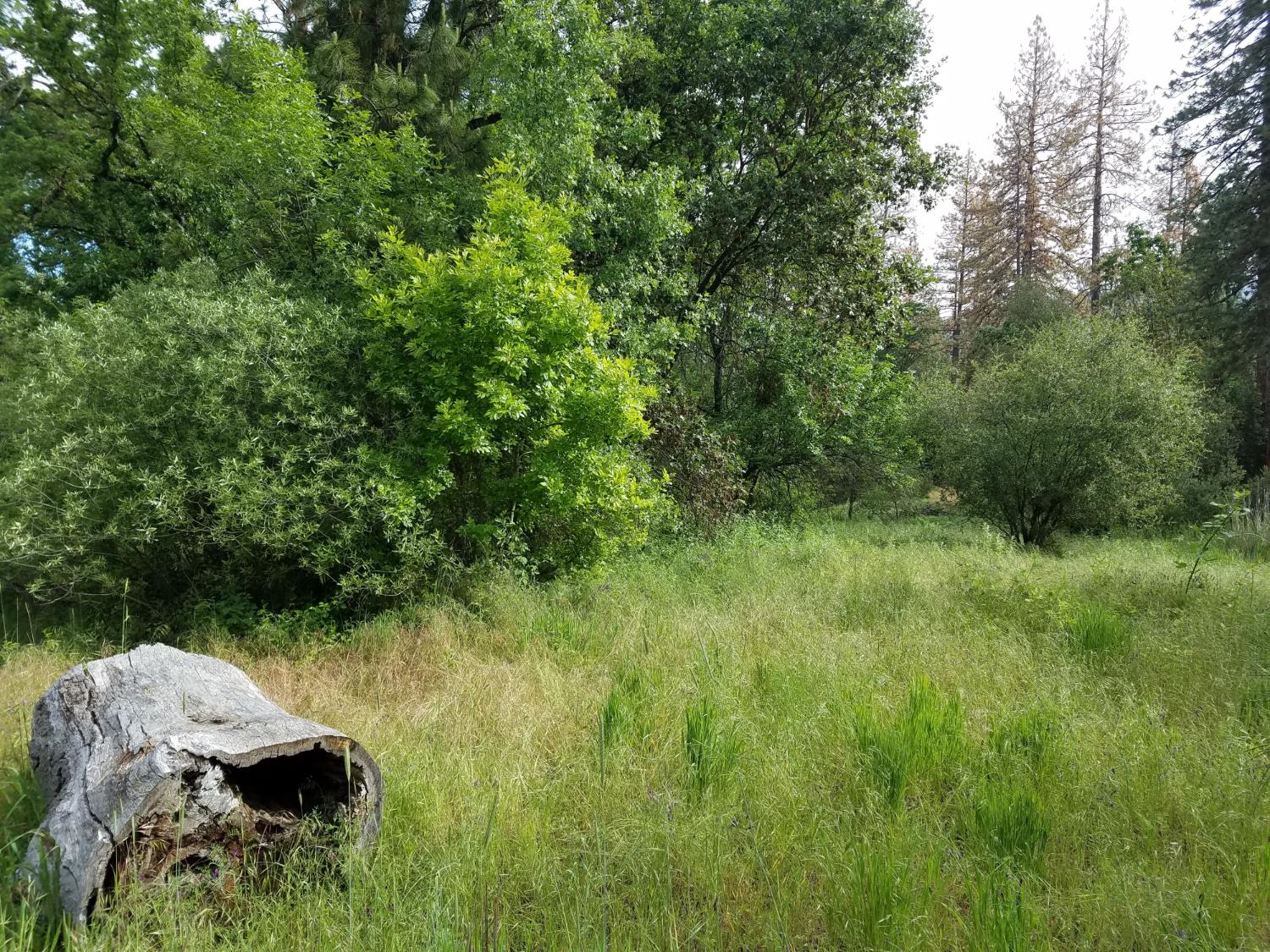 1 Road 225, North Fork, CA 93643