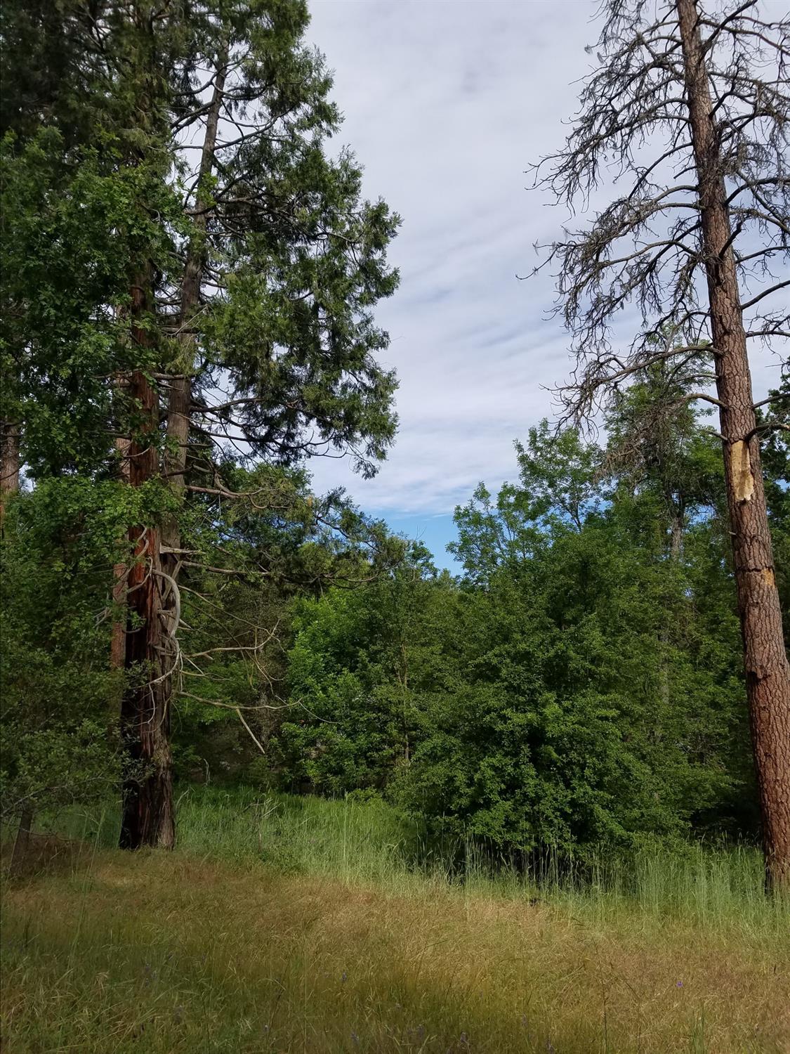 1 Road 225, North Fork, CA 93643