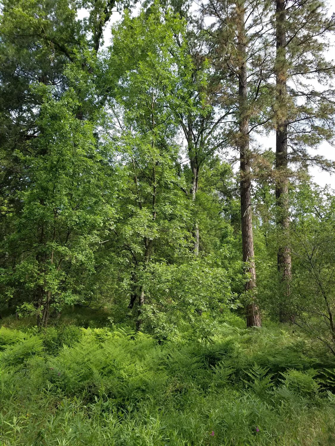 1 Road 225, North Fork, CA 93643