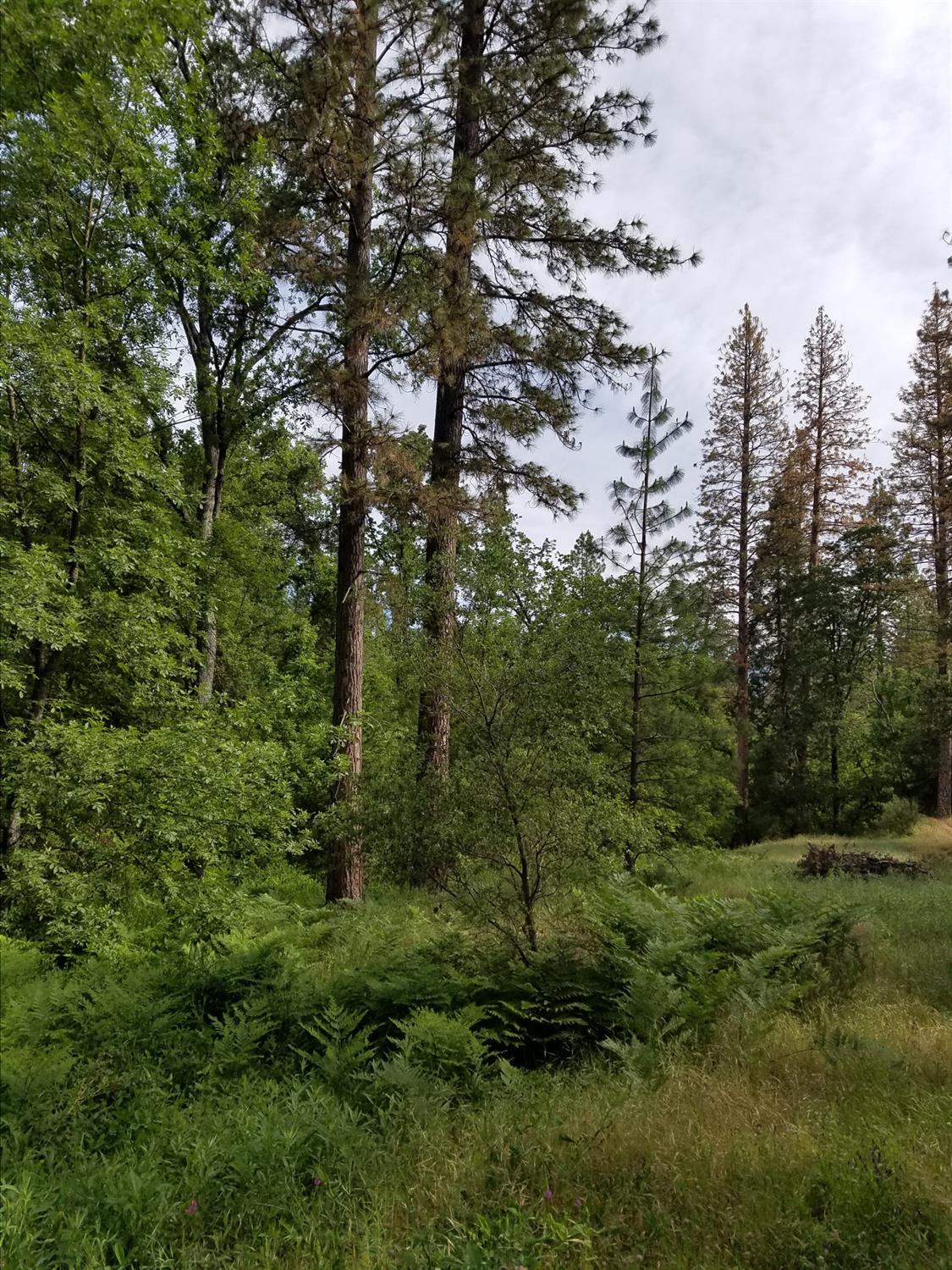 1 Road 225, North Fork, CA 93643