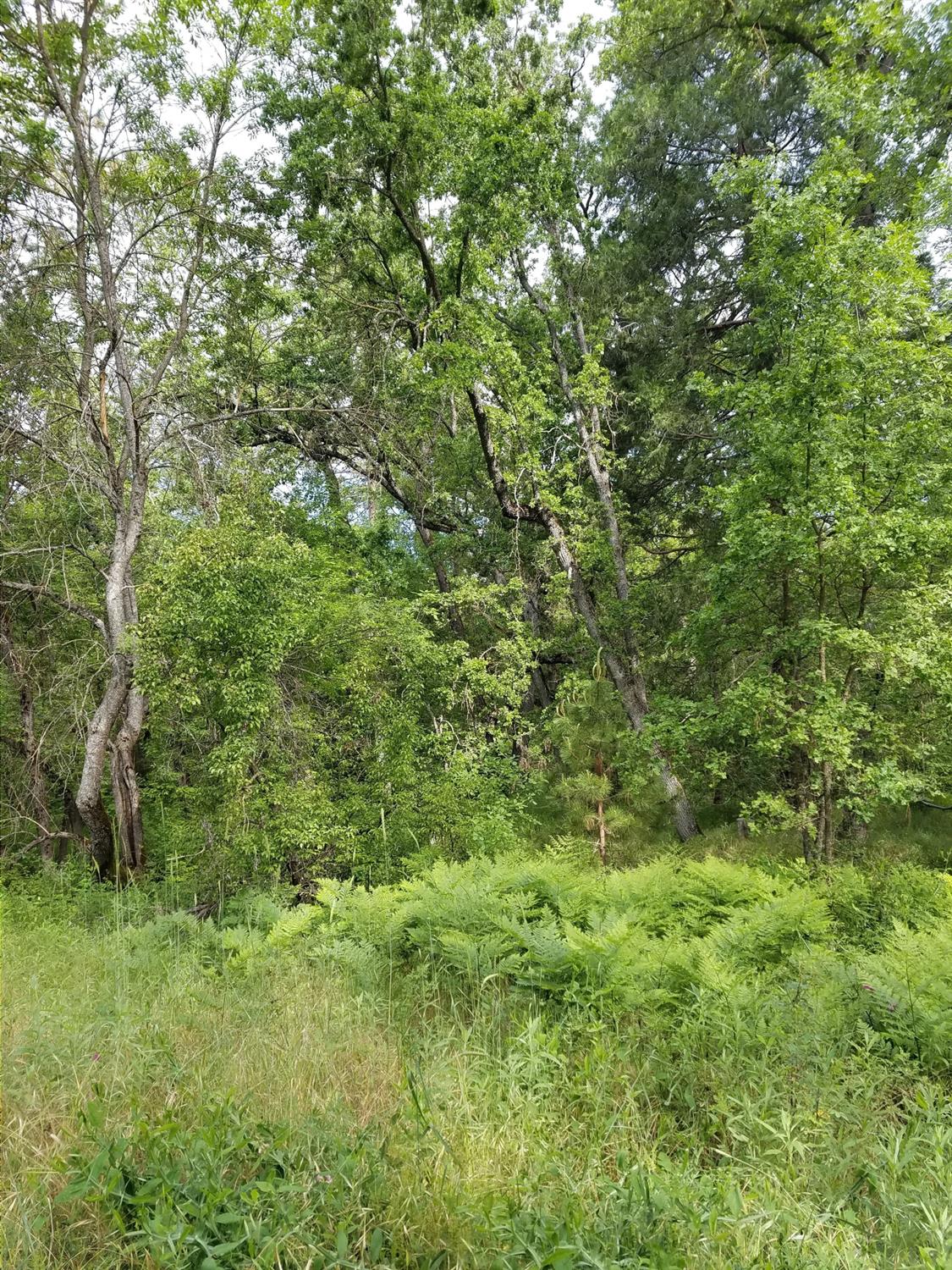 1 Road 225, North Fork, CA 93643