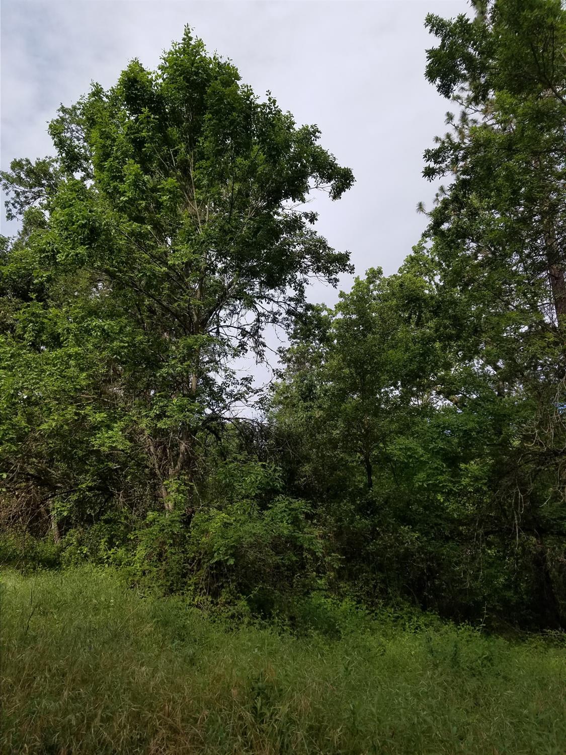 1 Road 225, North Fork, CA 93643