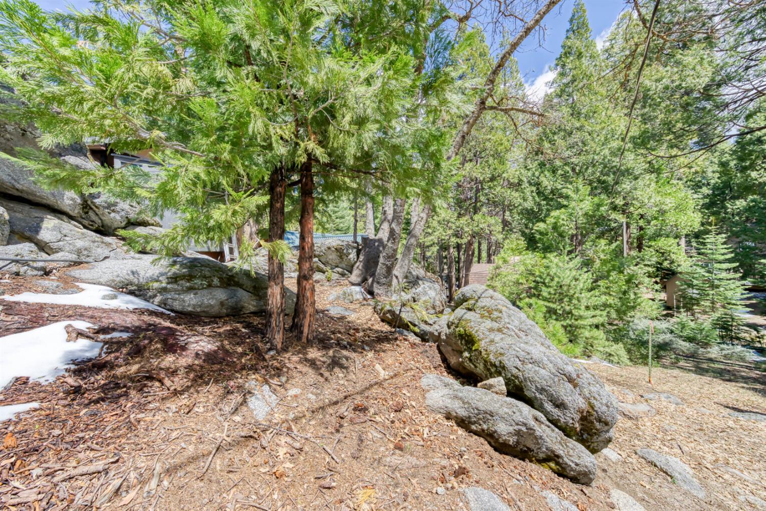 41336 Timber Dr, Shaver Lake, CA 93664