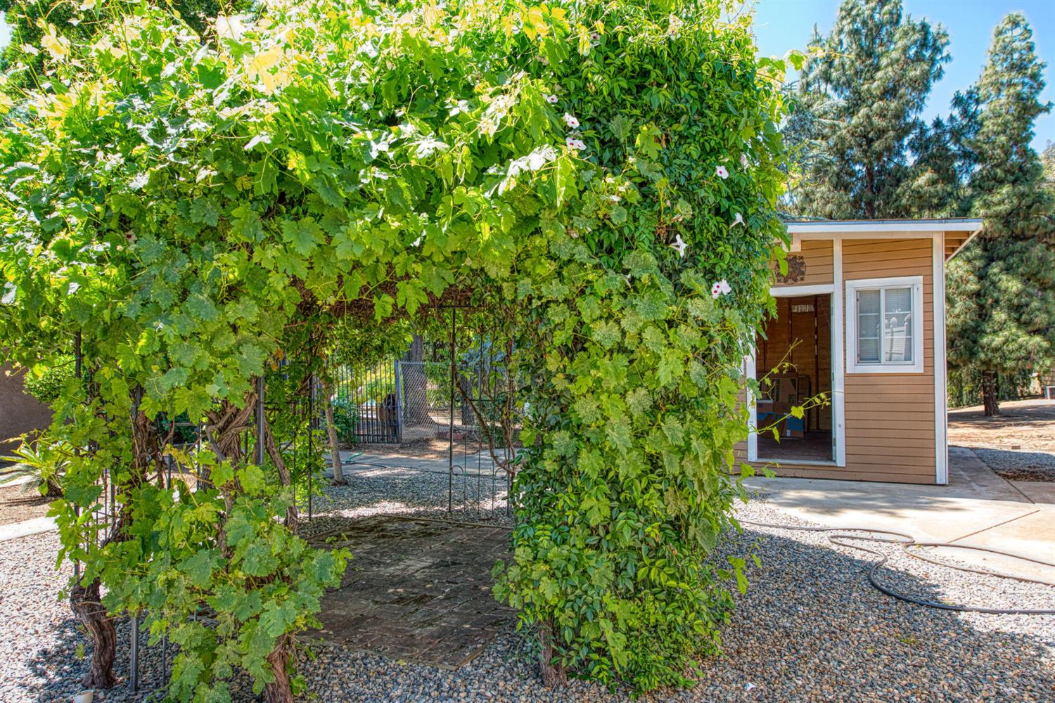 6345 N Bethel Ave, Clovis, CA 93619