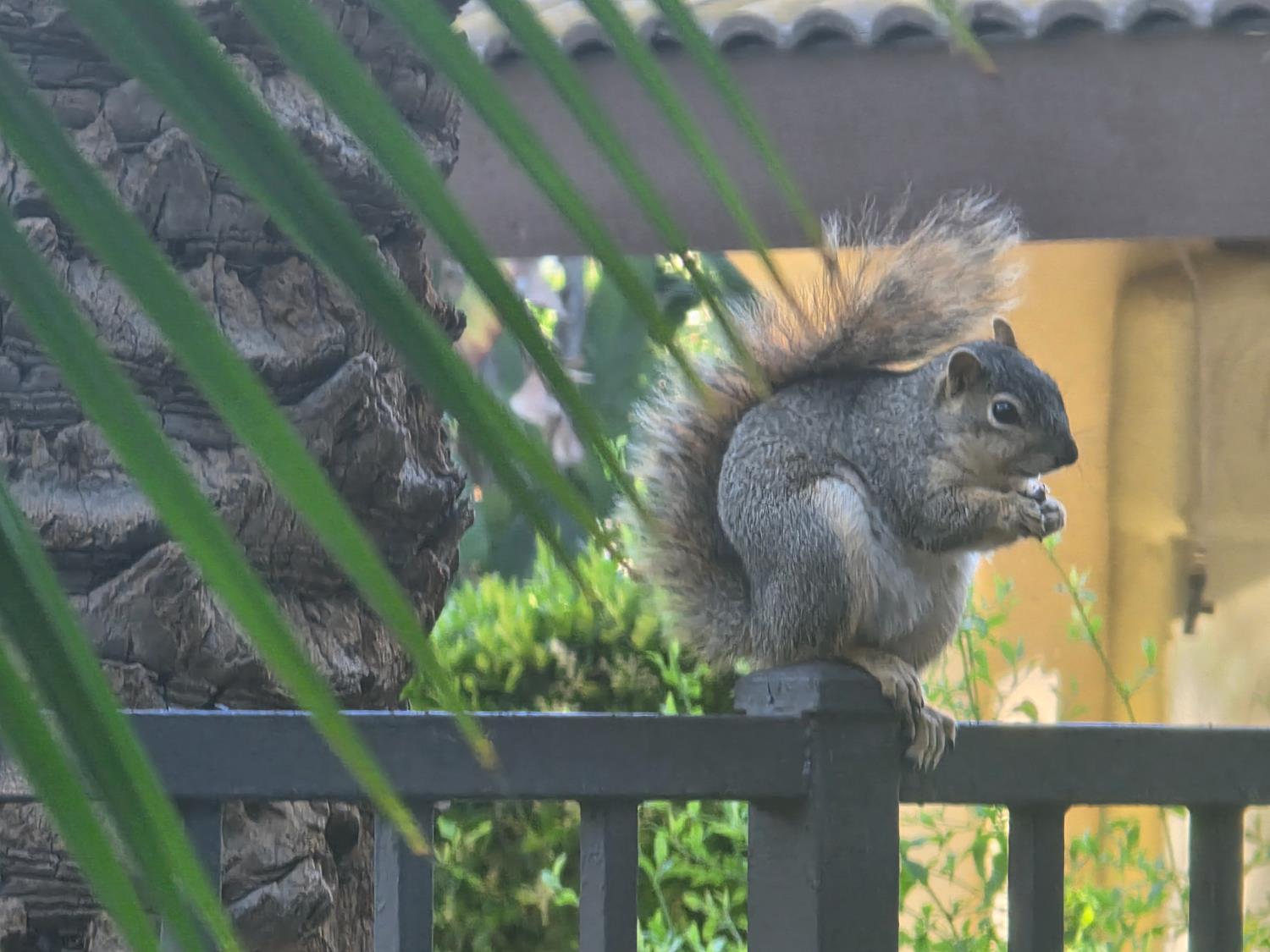 2909 Huntington Blvd #205, Fresno, CA 93721