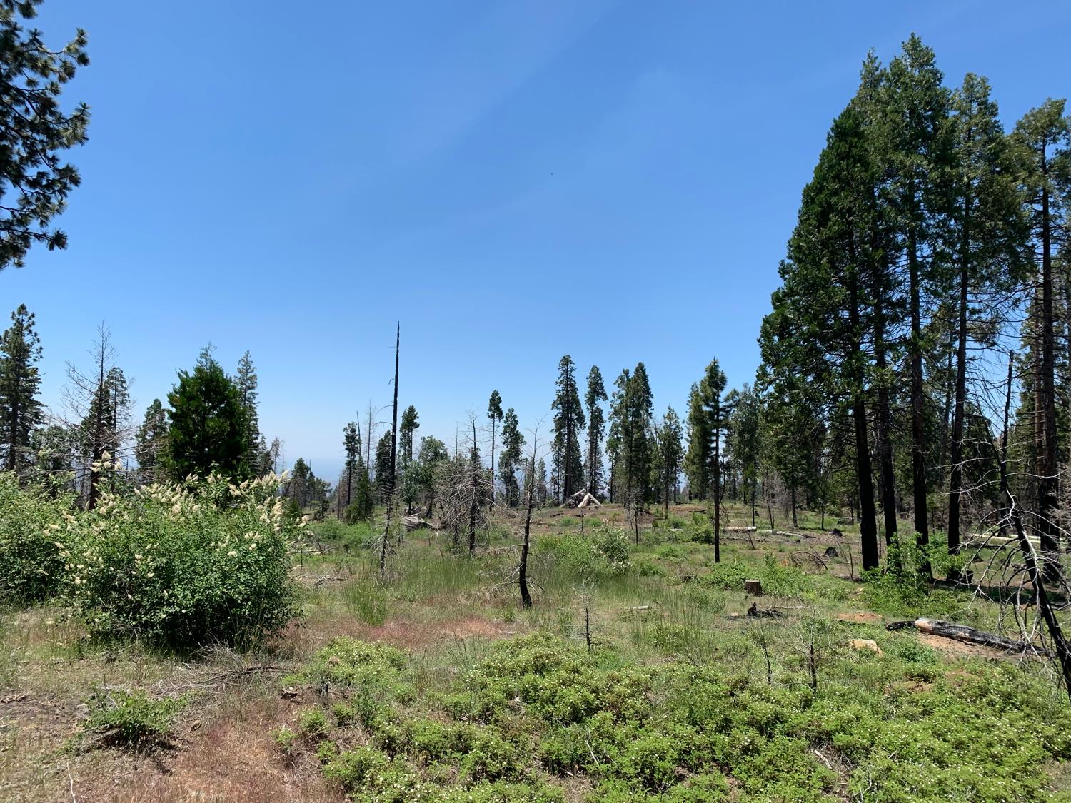 1 Shaver lake, Shaver Lake, CA 93602