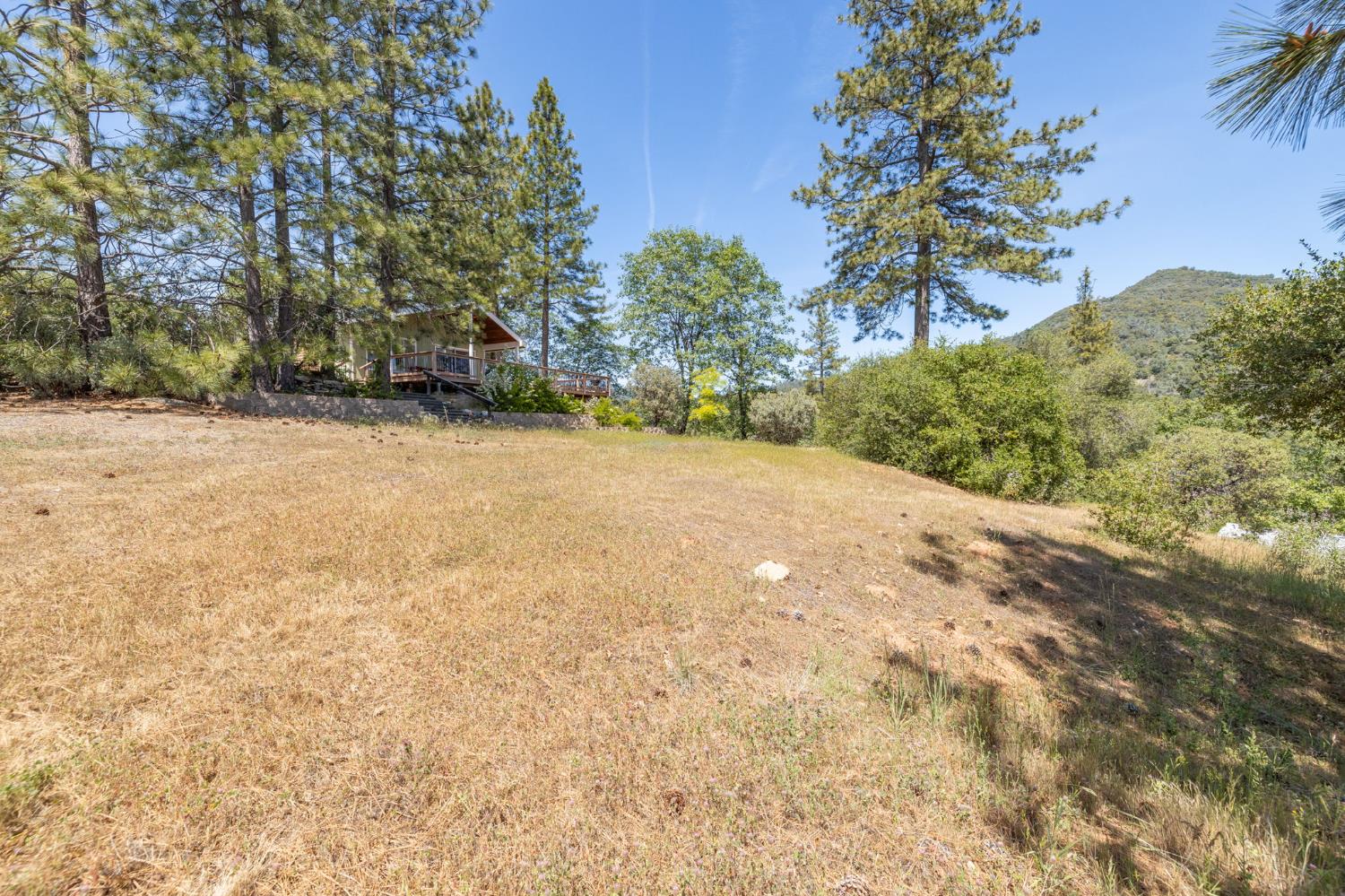 54481 Pinchot Dr, North Fork, CA 93643