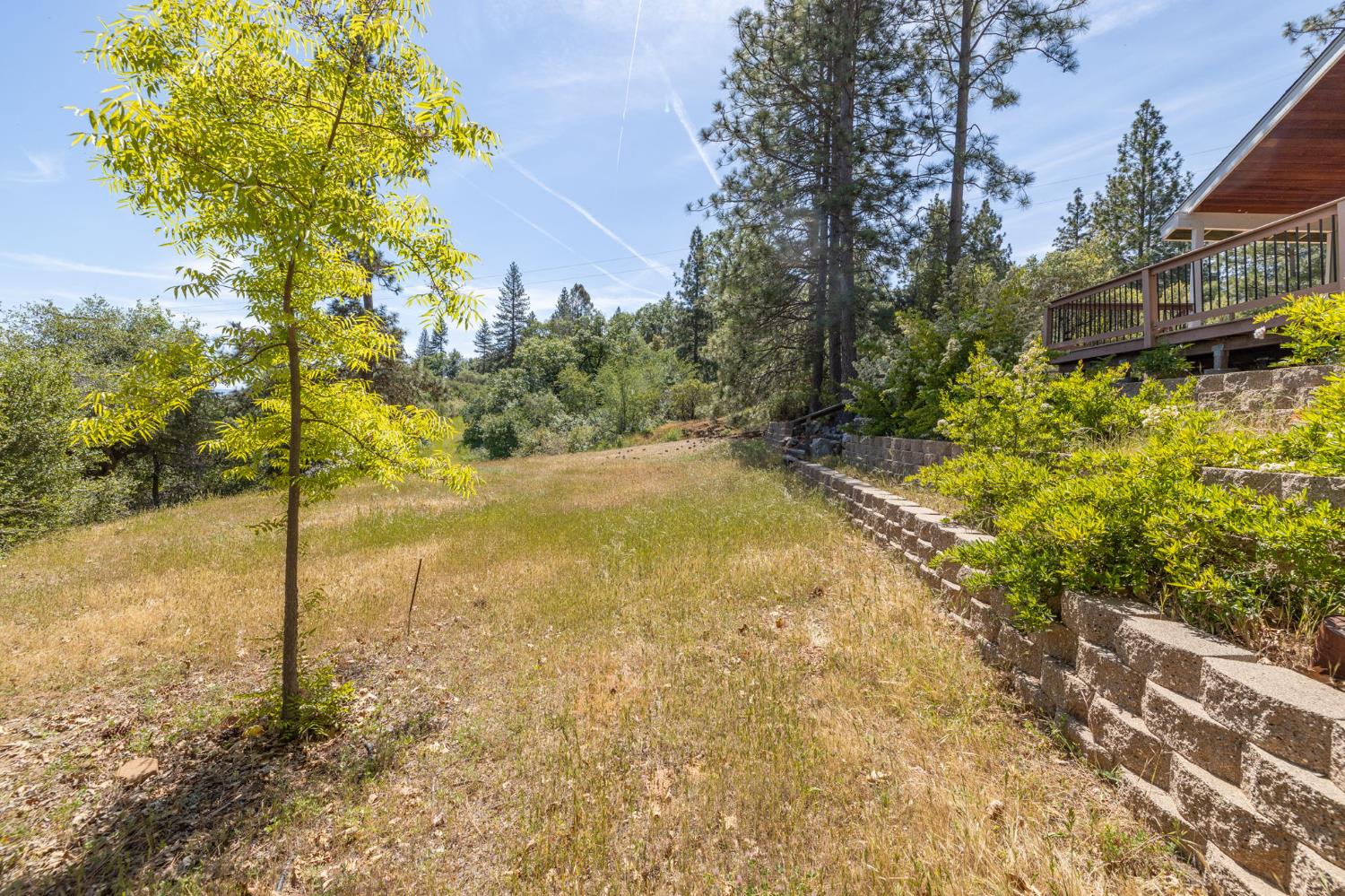 54481 Pinchot Dr, North Fork, CA 93643