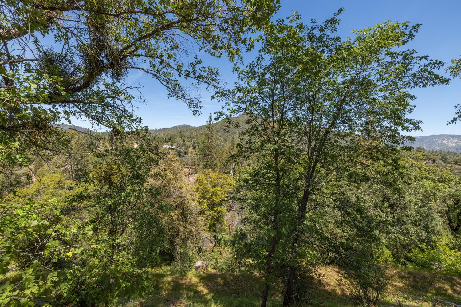 54481 Pinchot Dr, North Fork, CA 93643